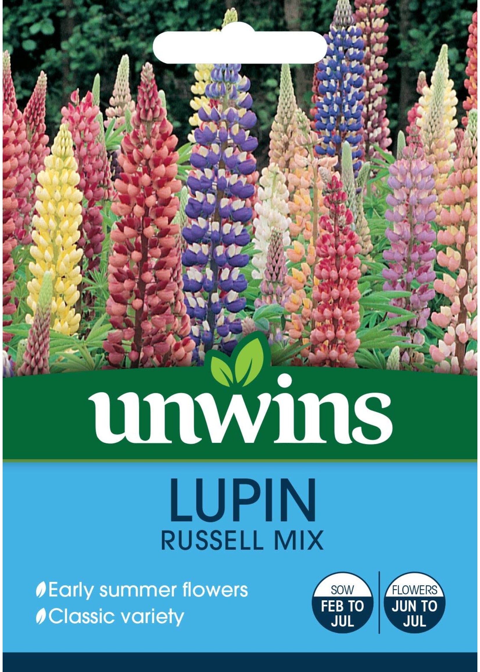 Unwins Lupin - Russell Mixed