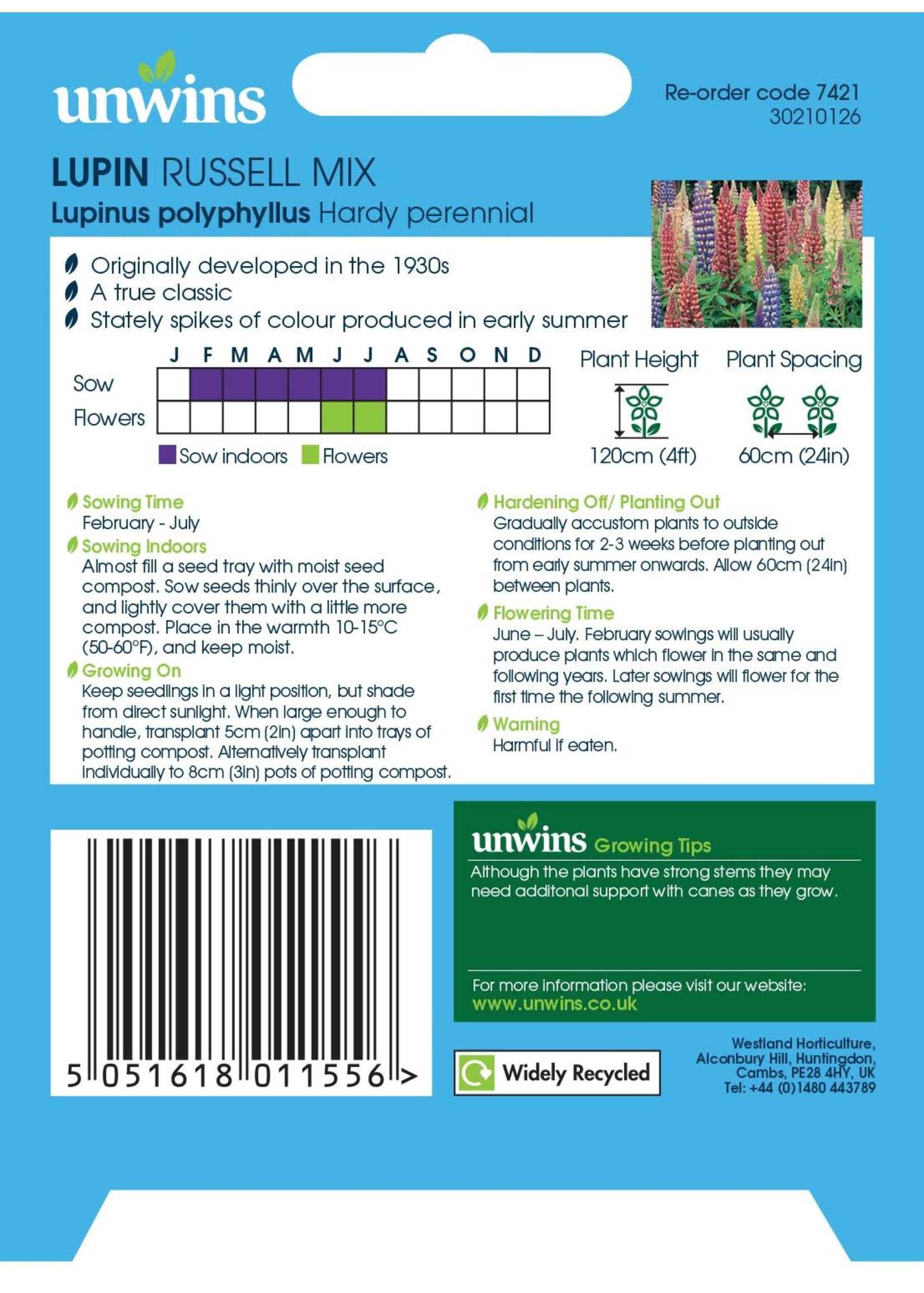 Unwins Lupin - Russell Mixed