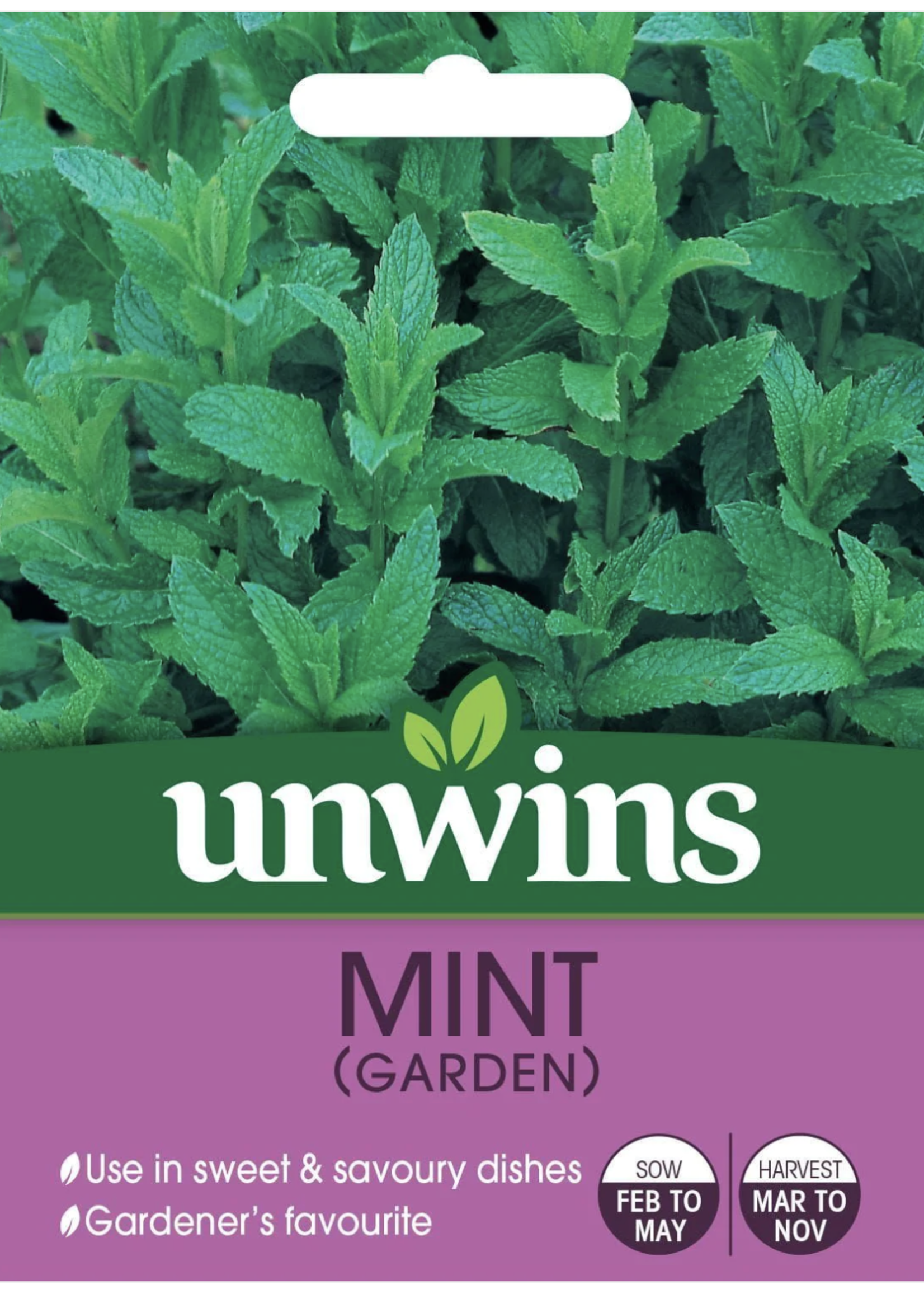 Unwins Mint - Garden