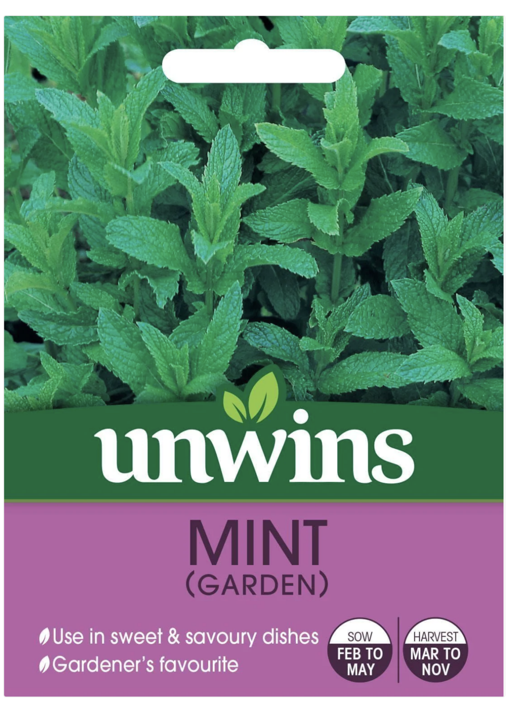 Unwins Mint - Garden