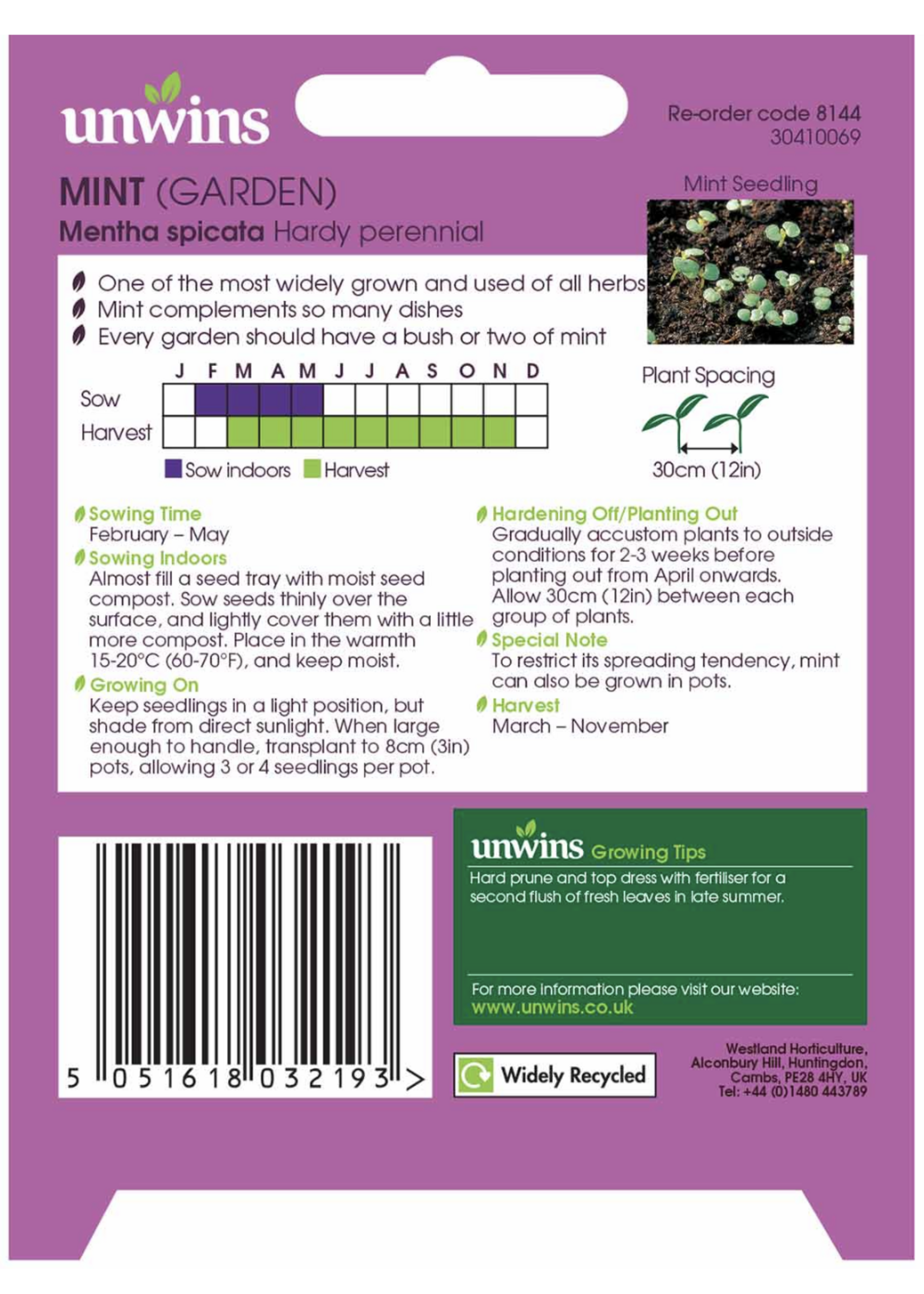 Unwins Mint - Garden