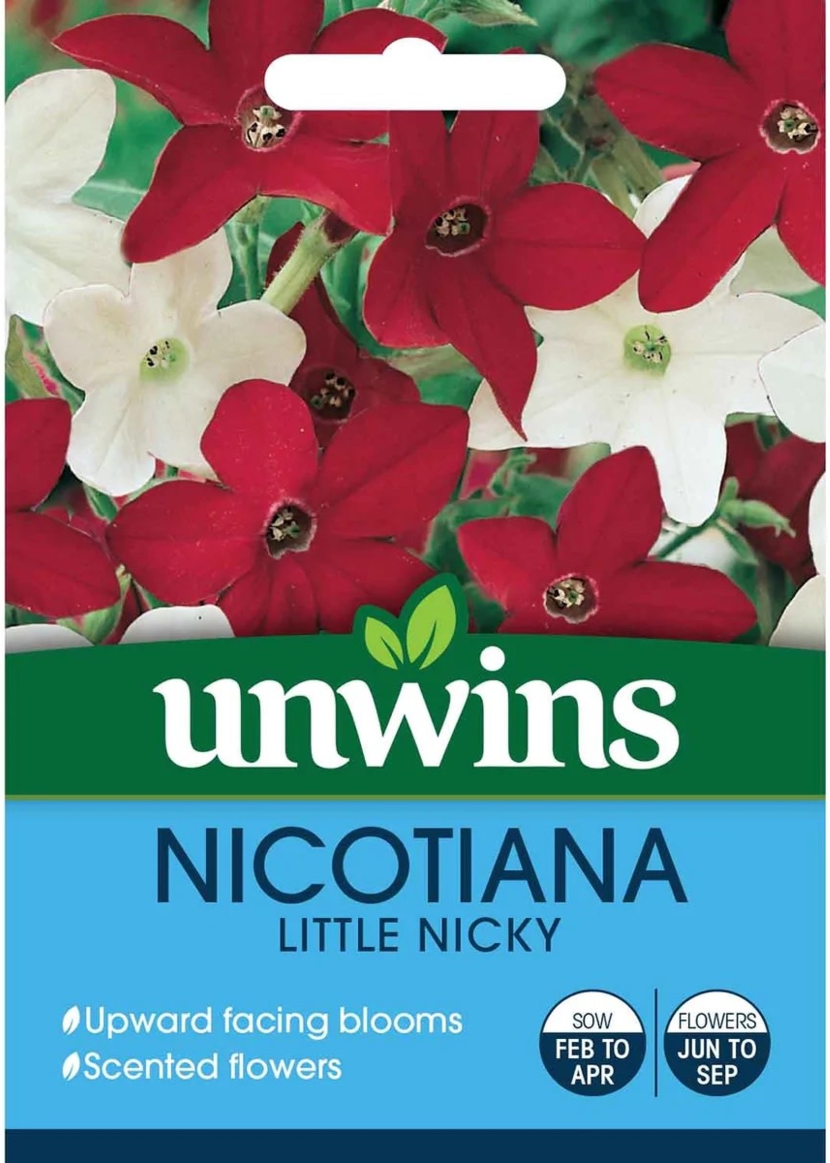 Unwins Nicotiana - Little Nicky