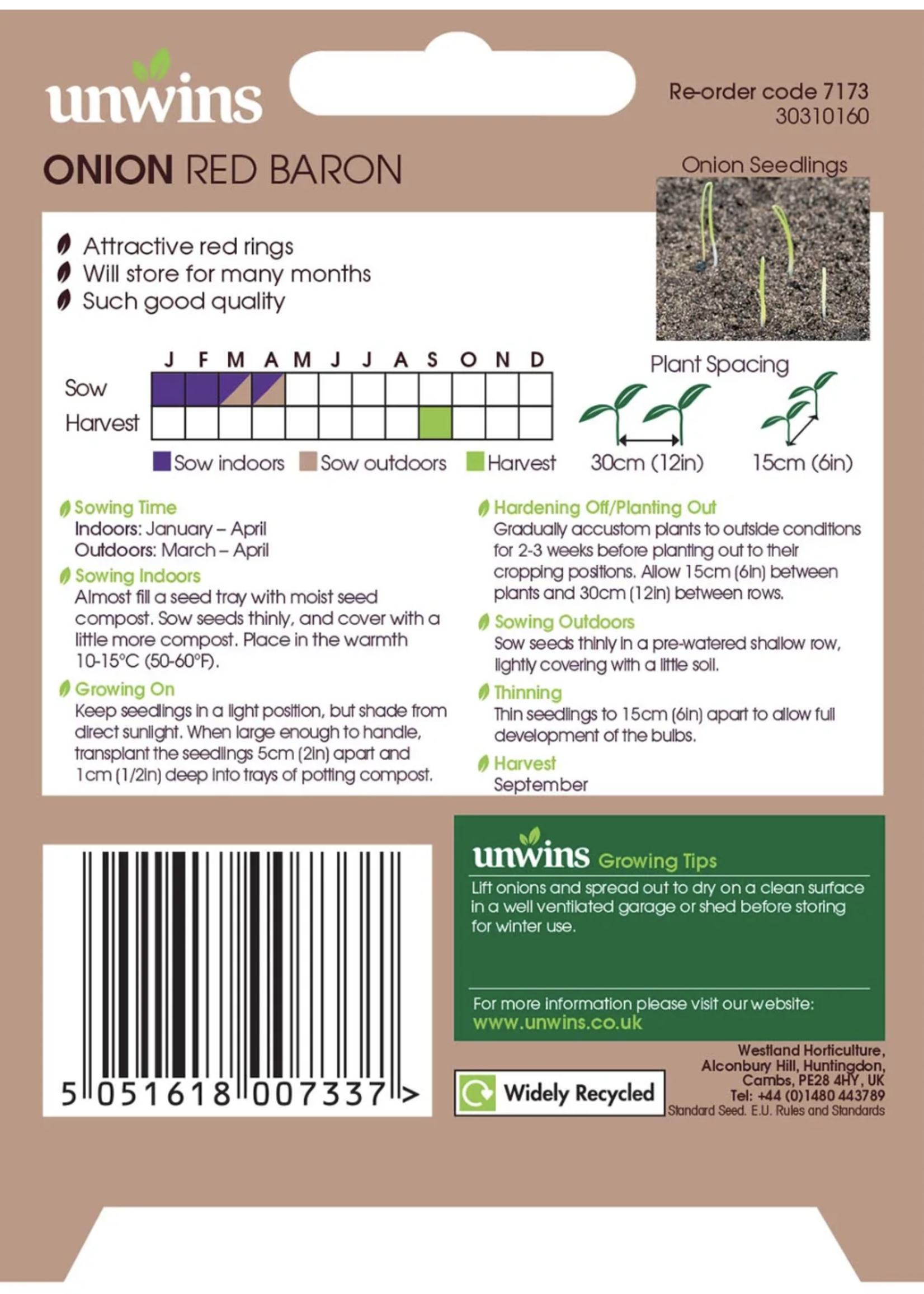 Unwins Onion (Globe) - Red Baron