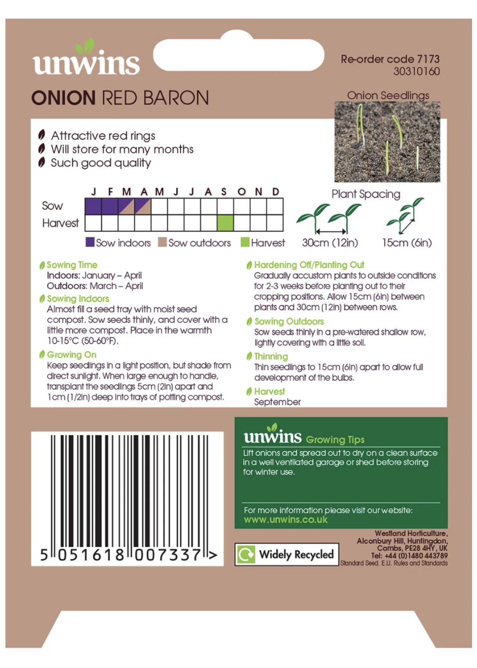 Unwins Onion (Globe) - Red Baron