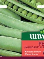 Unwins Pea (Maincrop) - Hurst Greenshaft