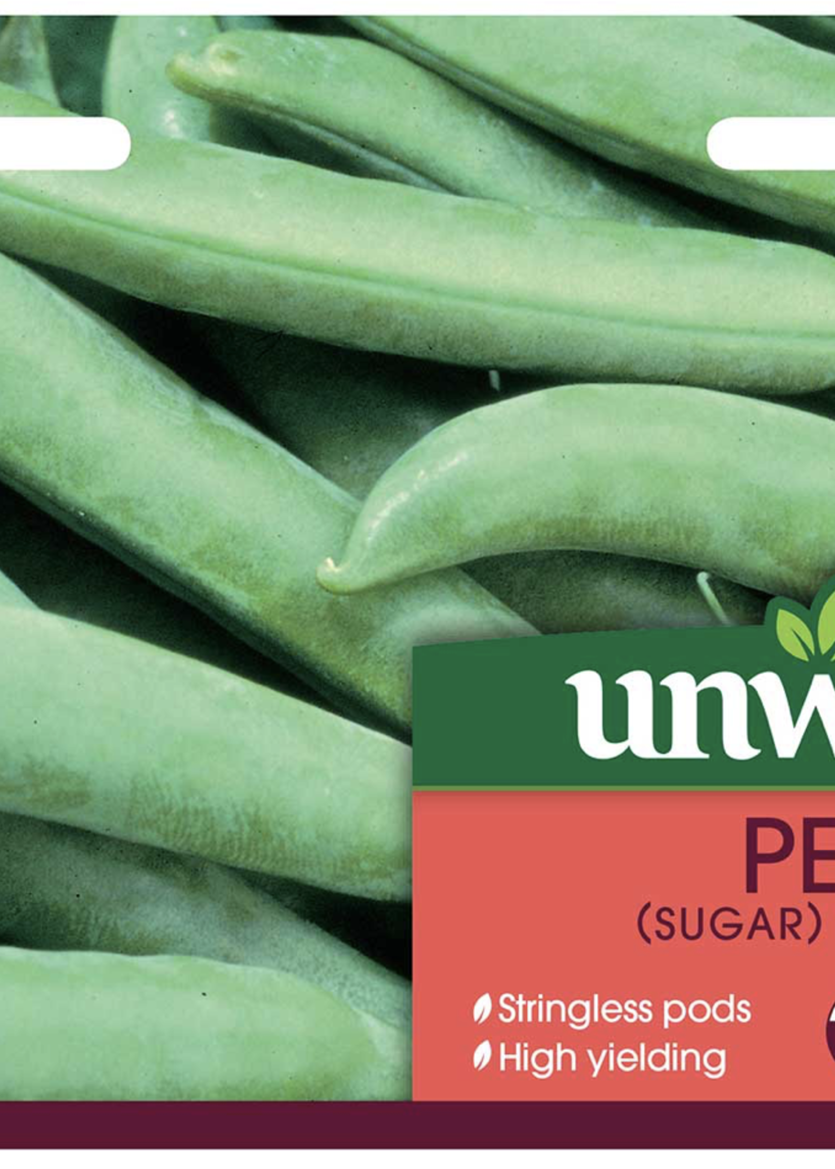 Unwins Pea - (Sugar) Delikett