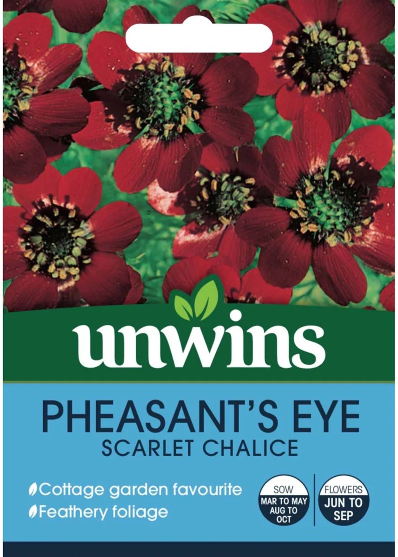 Unwins Pheasants Eye - Scarlet Chalice