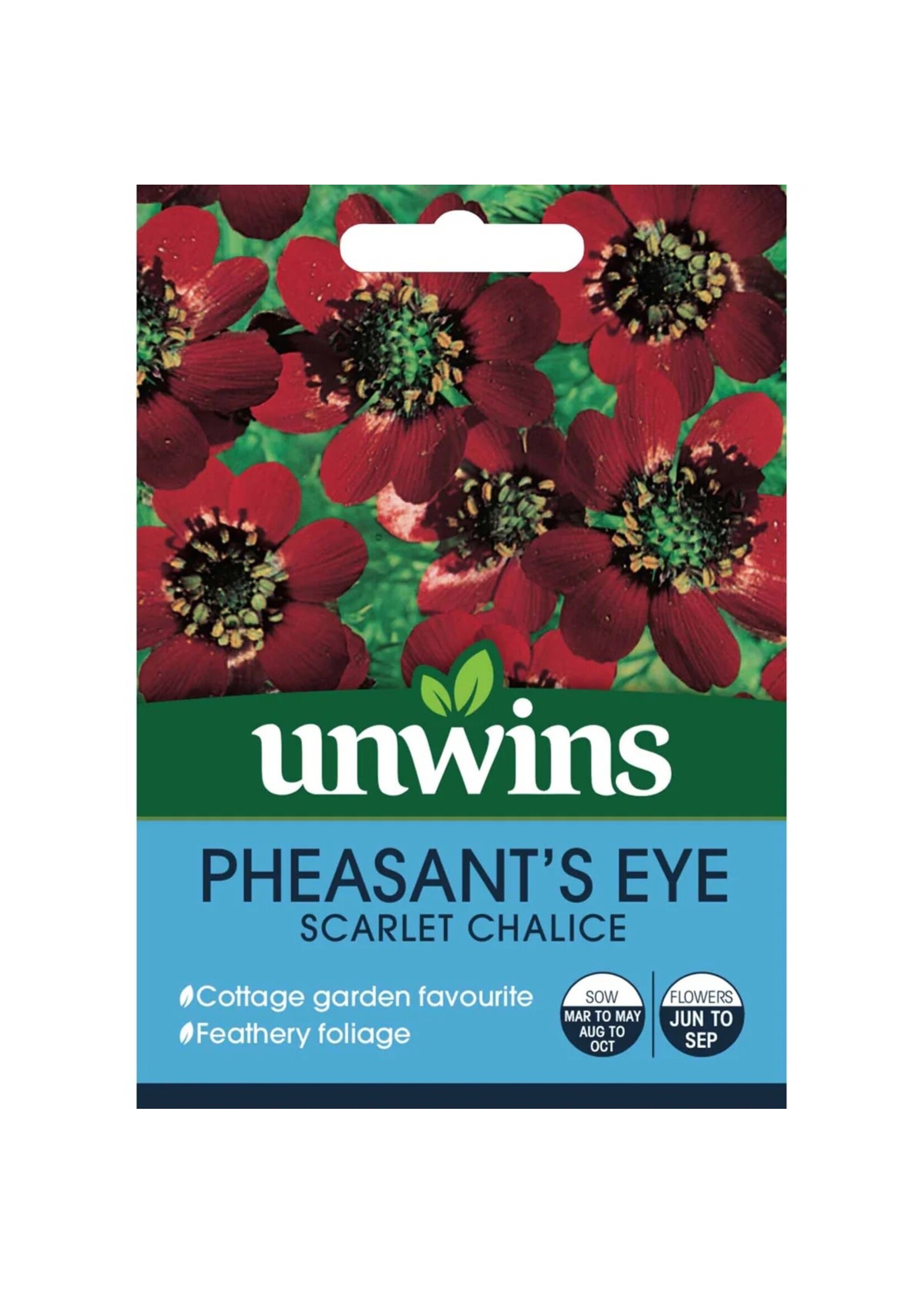 Unwins Pheasants Eye - Scarlet Chalice