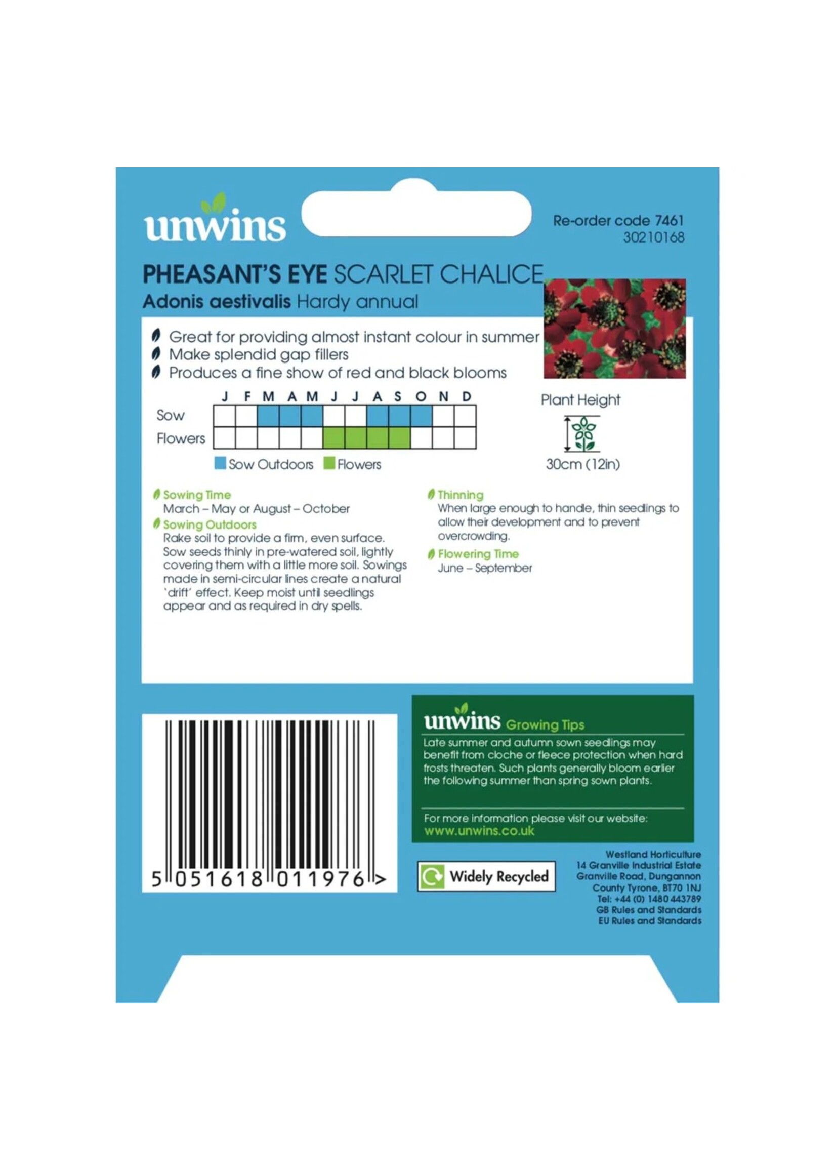 Unwins Pheasants Eye - Scarlet Chalice