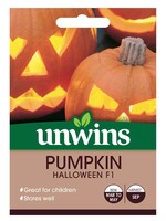 Unwins Pumpkin - Halloween F1