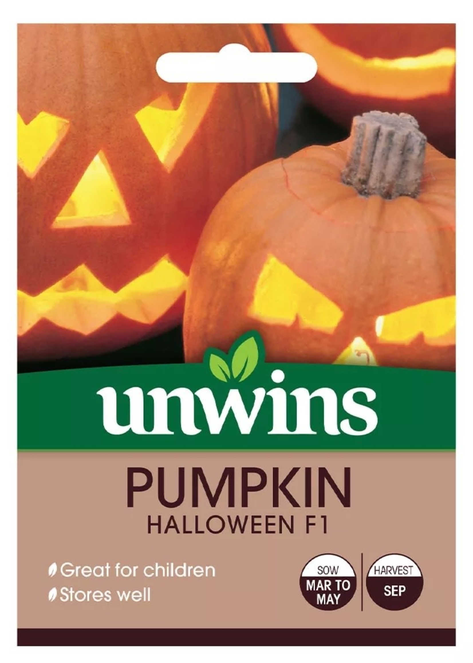 Unwins Pumpkin - Halloween F1