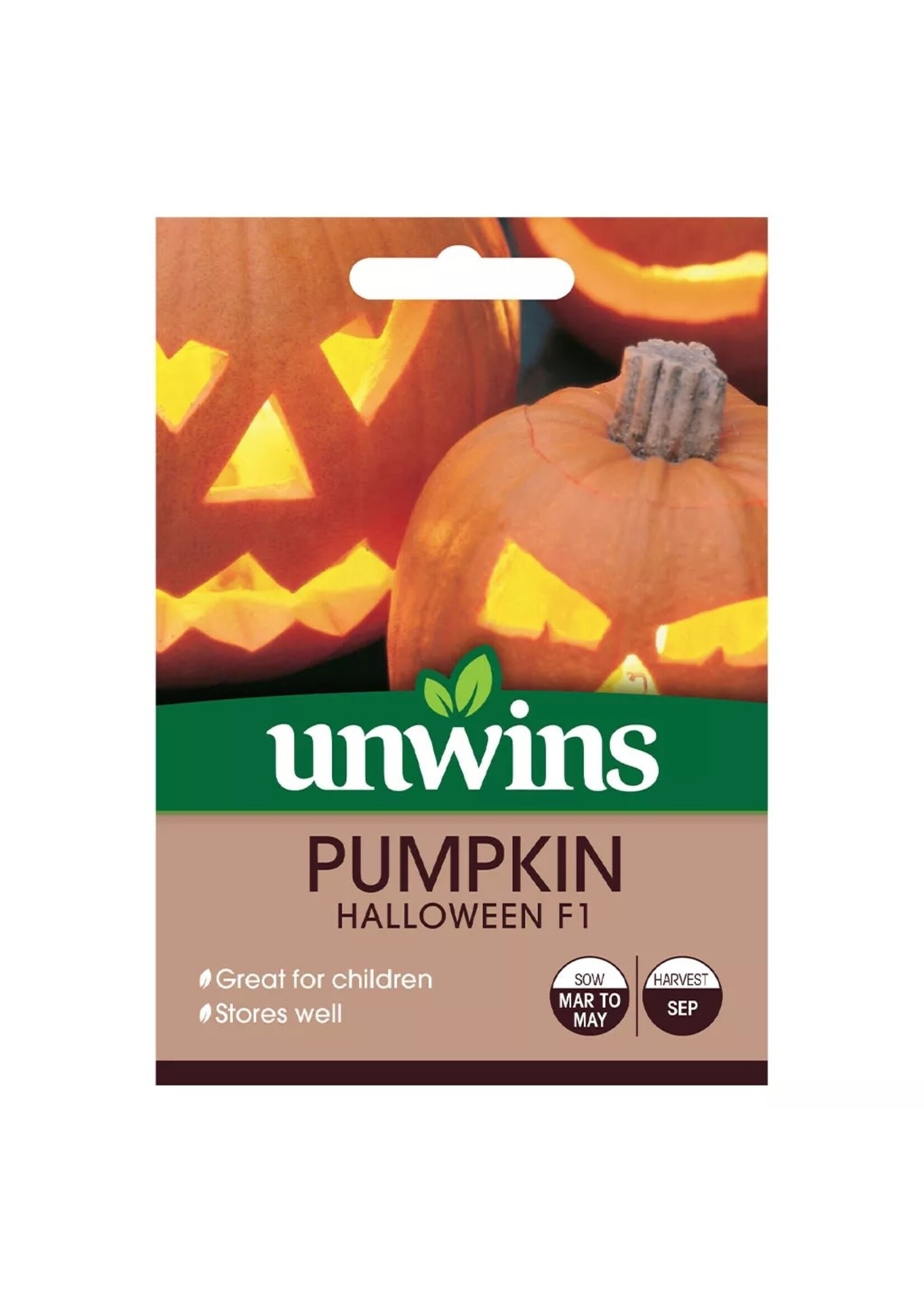 Unwins Pumpkin - Halloween F1