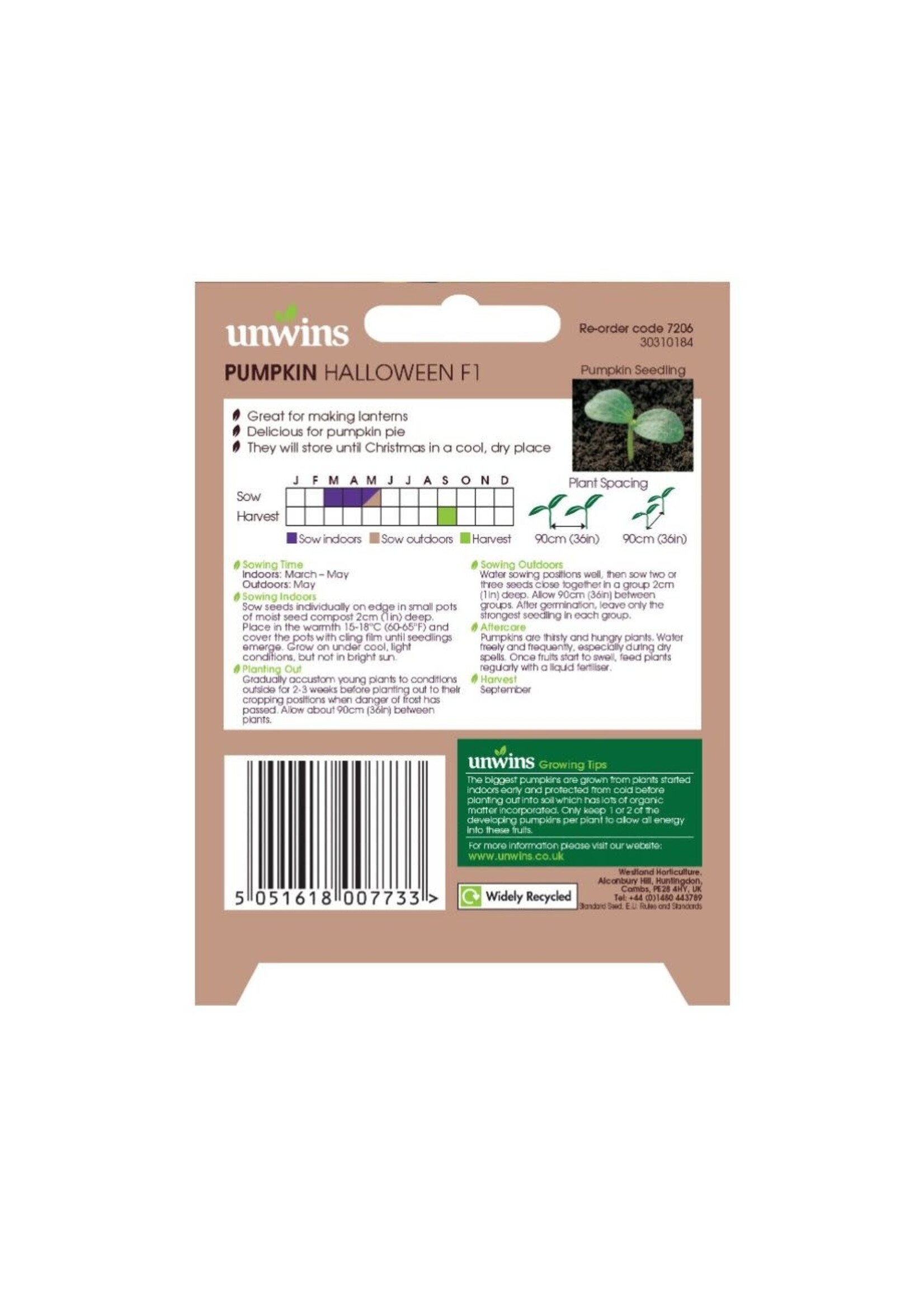 Unwins Pumpkin - Halloween F1