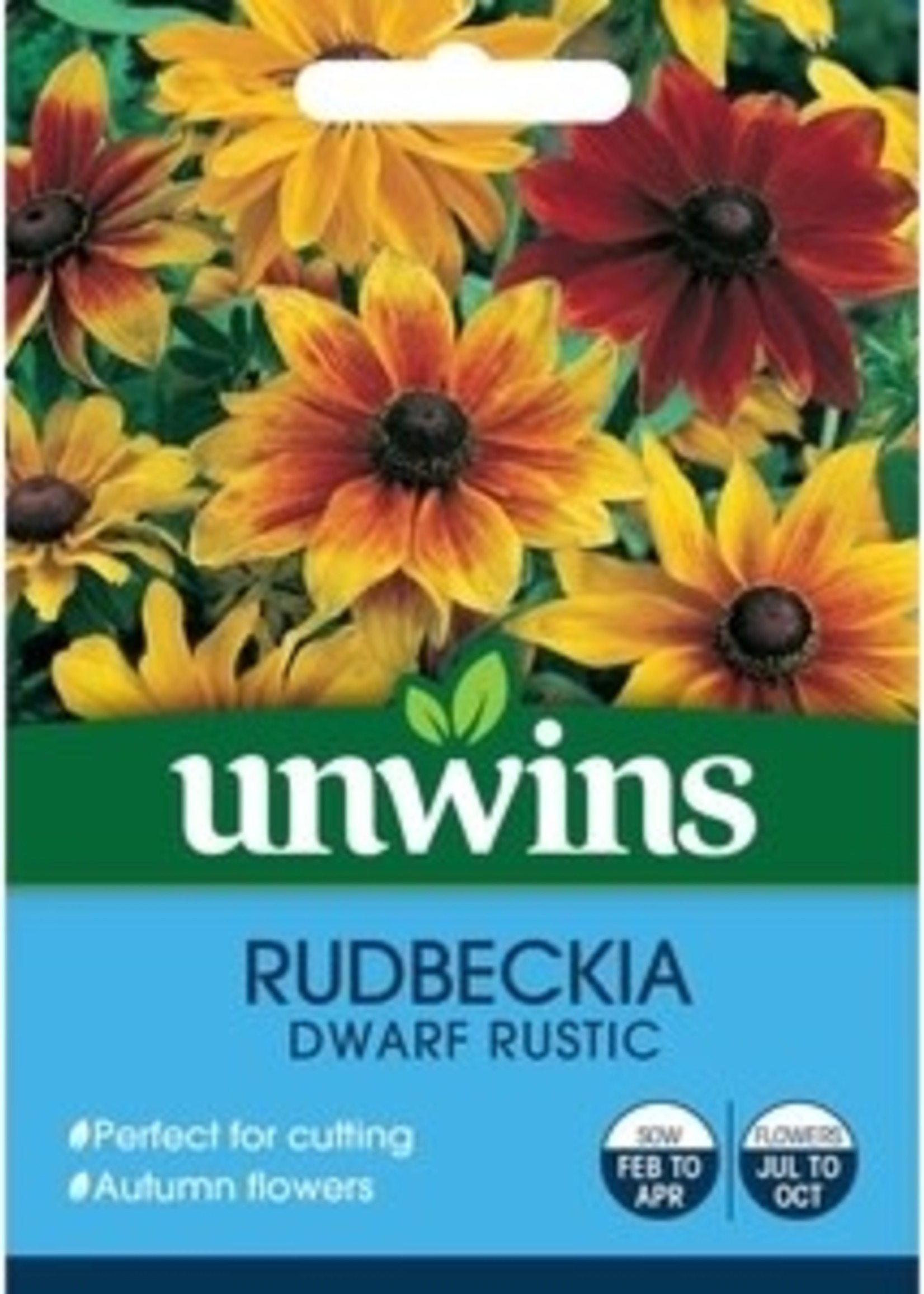 Unwins Rudbeckia (Dwarf) - Rustic