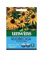 Unwins Rudbeckia - Goldsturm