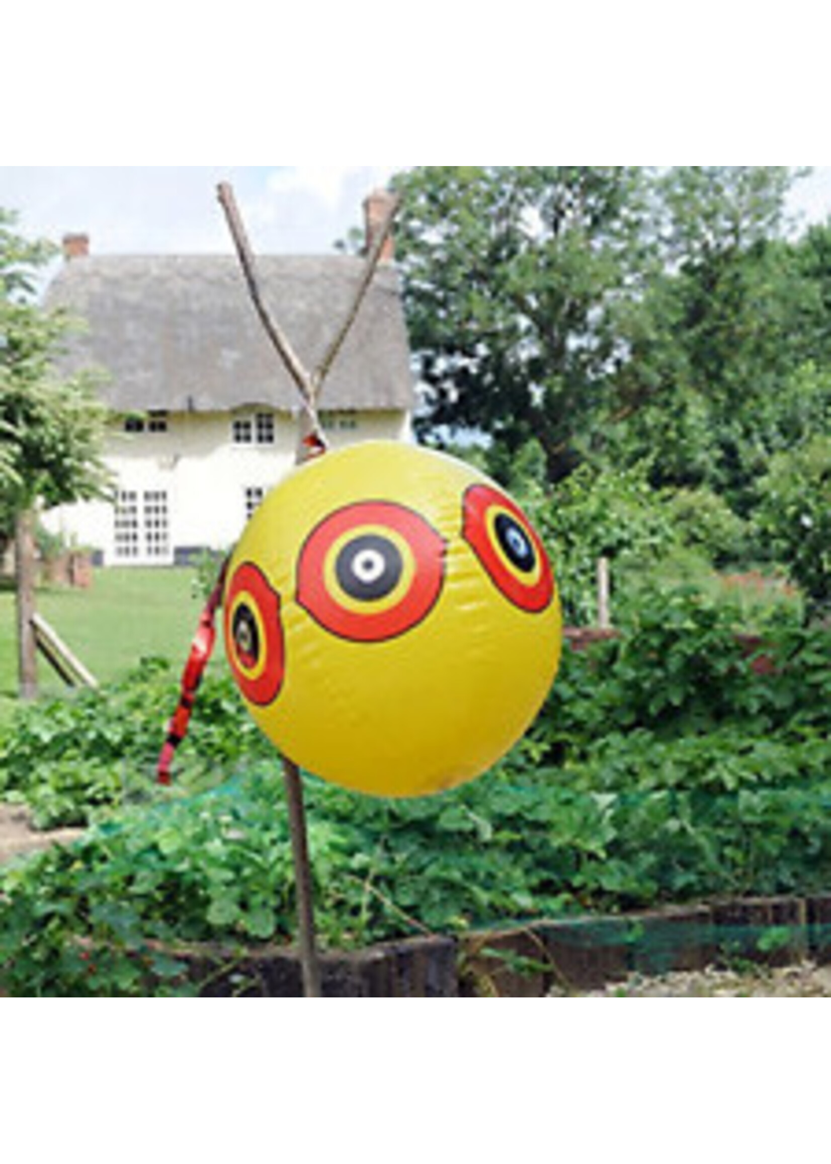 Defenders (STV) Eyeball bird scarer