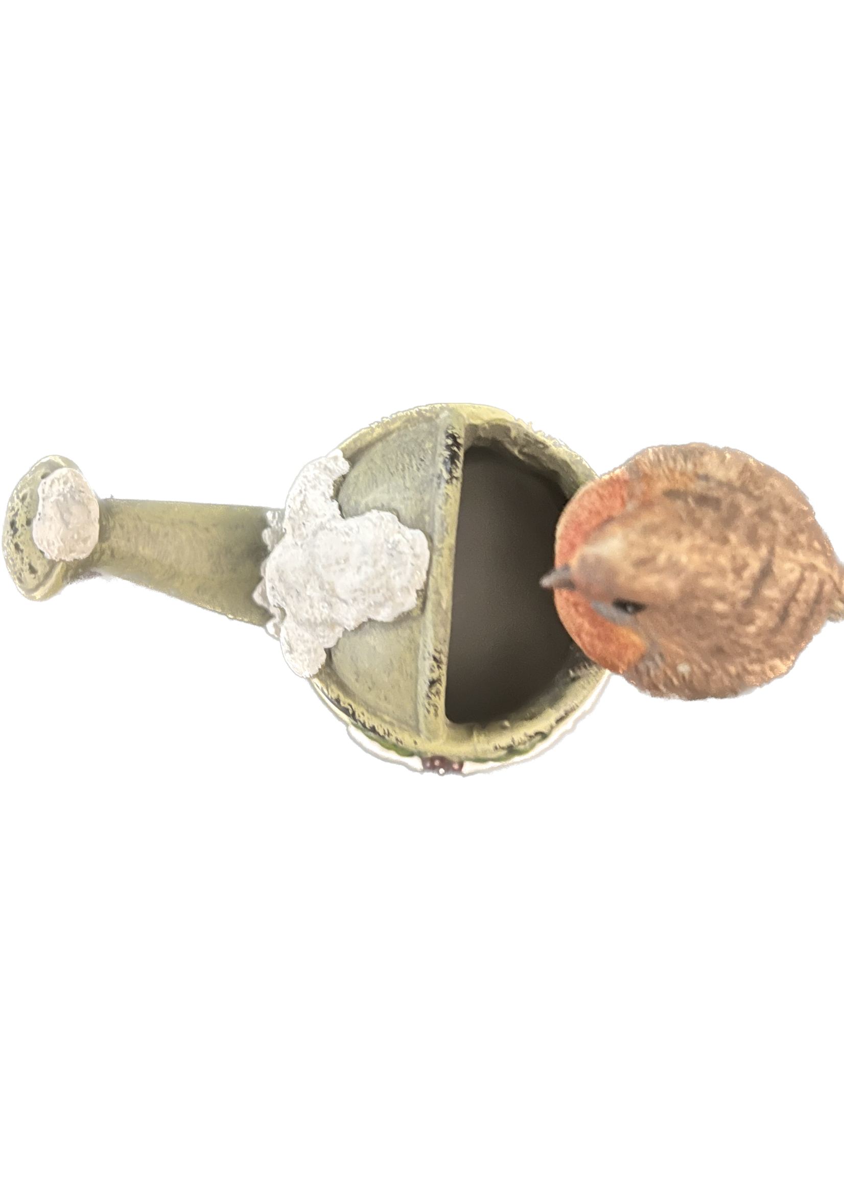 Robin On Watering Can 17cm