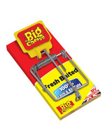 The Big Cheese (STV ) Pre-baited Wooden Mouse Trap