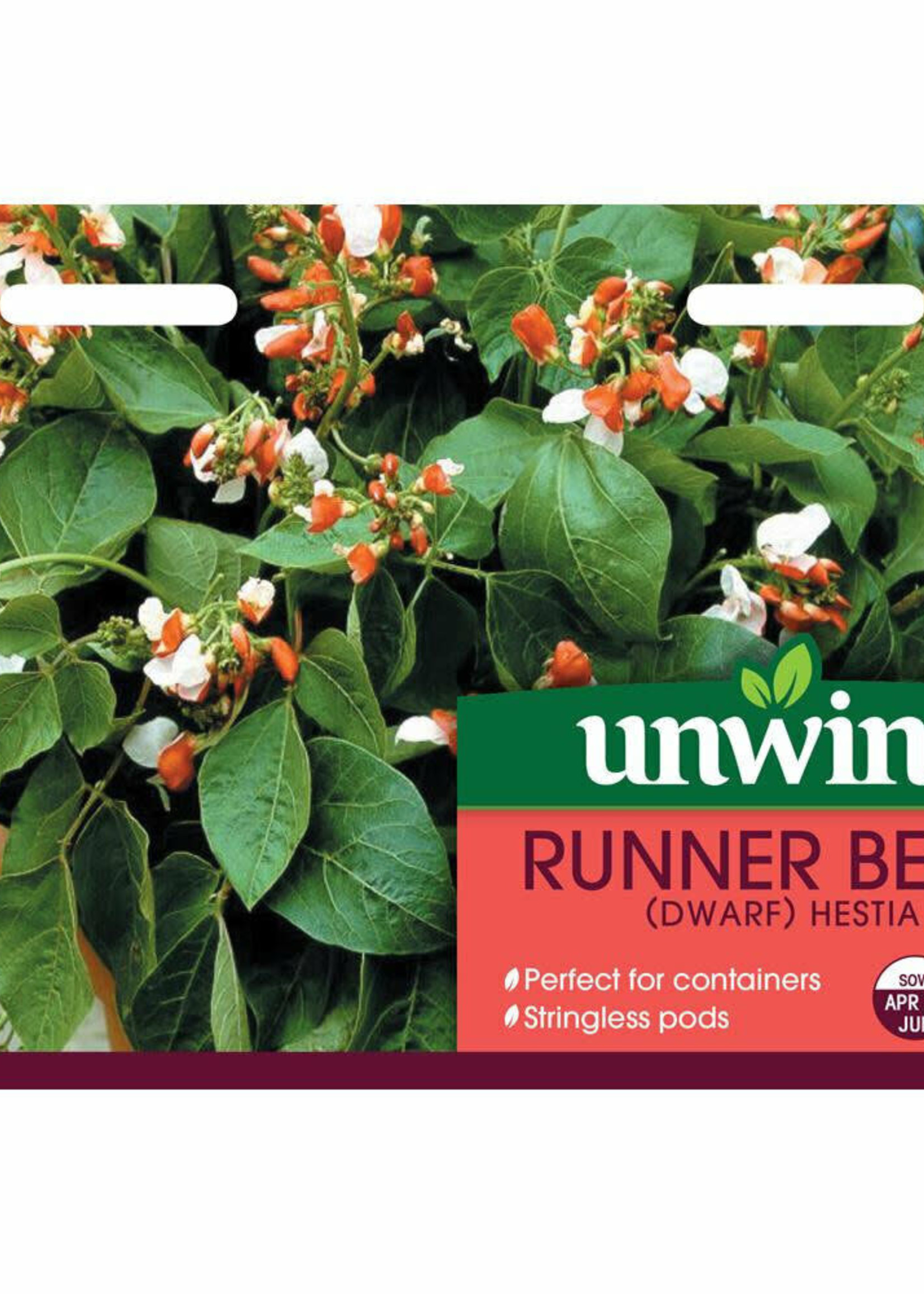 Unwins Runner Bean (Dwarf) - Hestia