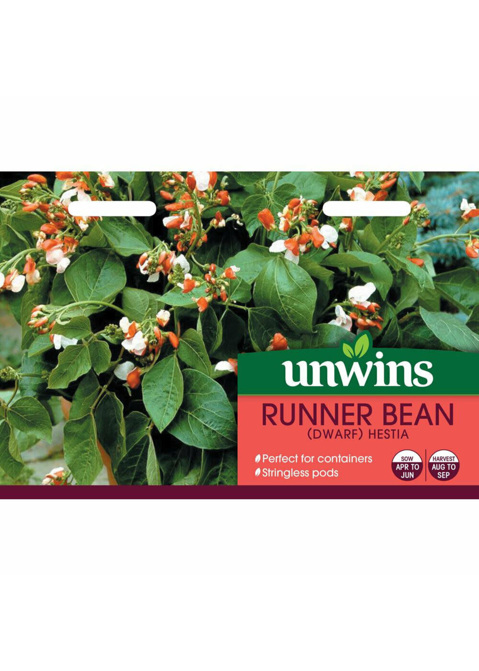 Unwins Runner Bean (Dwarf) - Hestia
