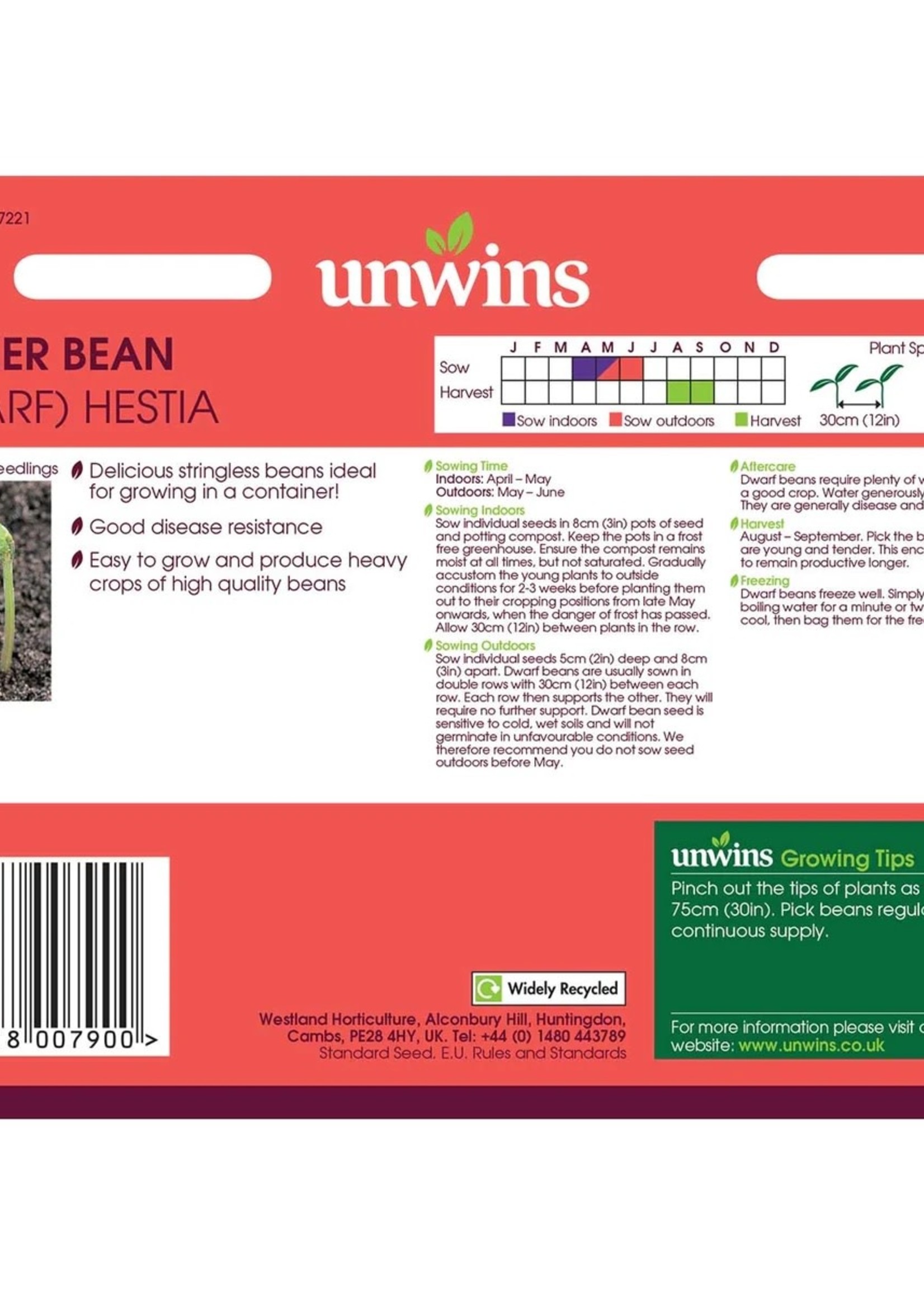 Unwins Runner Bean (Dwarf) - Hestia