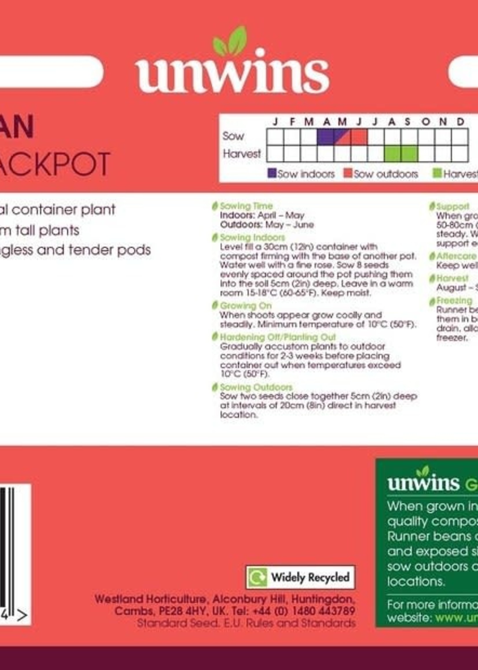 Unwins Runner Bean (Dwarf) - Jackpot