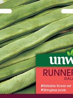 Unwins Runner Bean - Galaxy