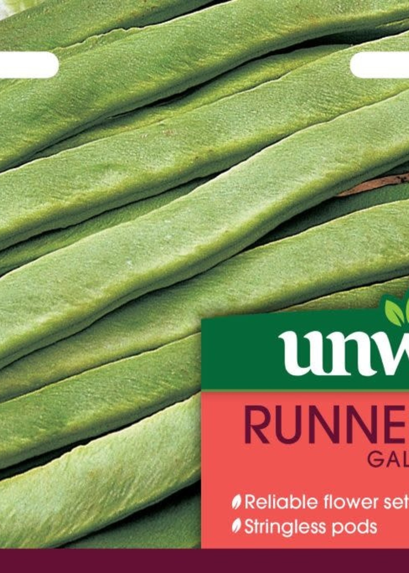 Unwins Runner Bean - Galaxy