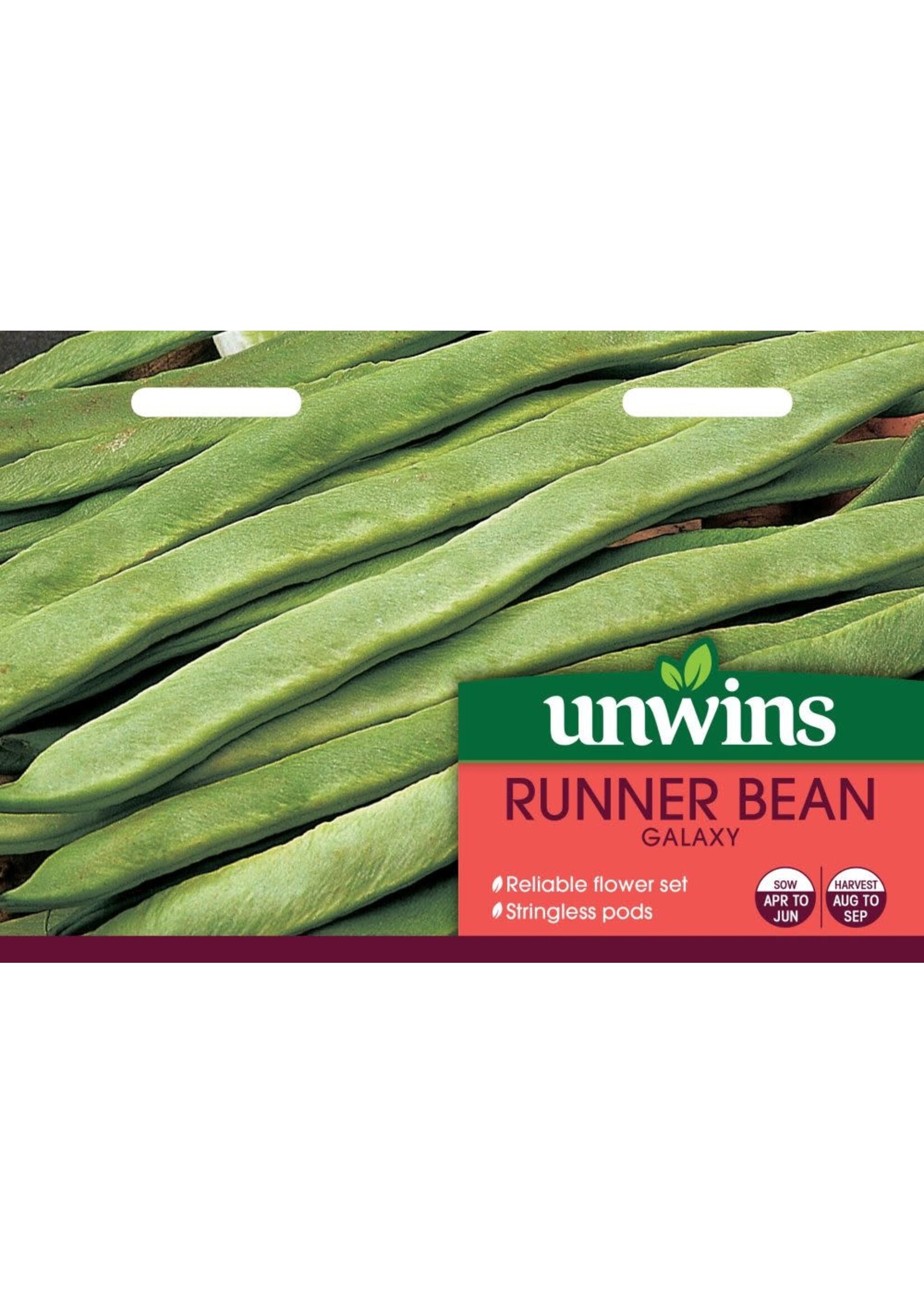 Unwins Runner Bean - Galaxy