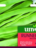 Unwins Runner Bean - Moonlight