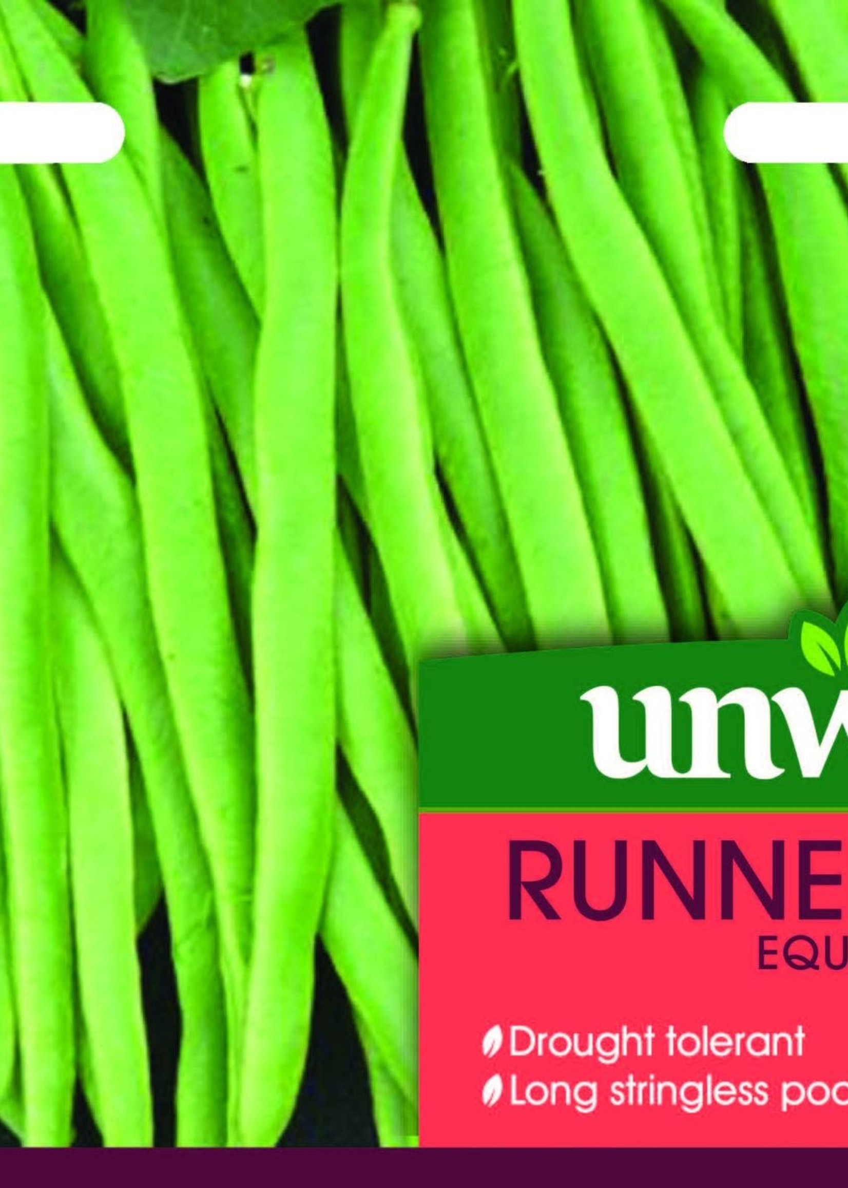 Unwins Runner Bean Equator