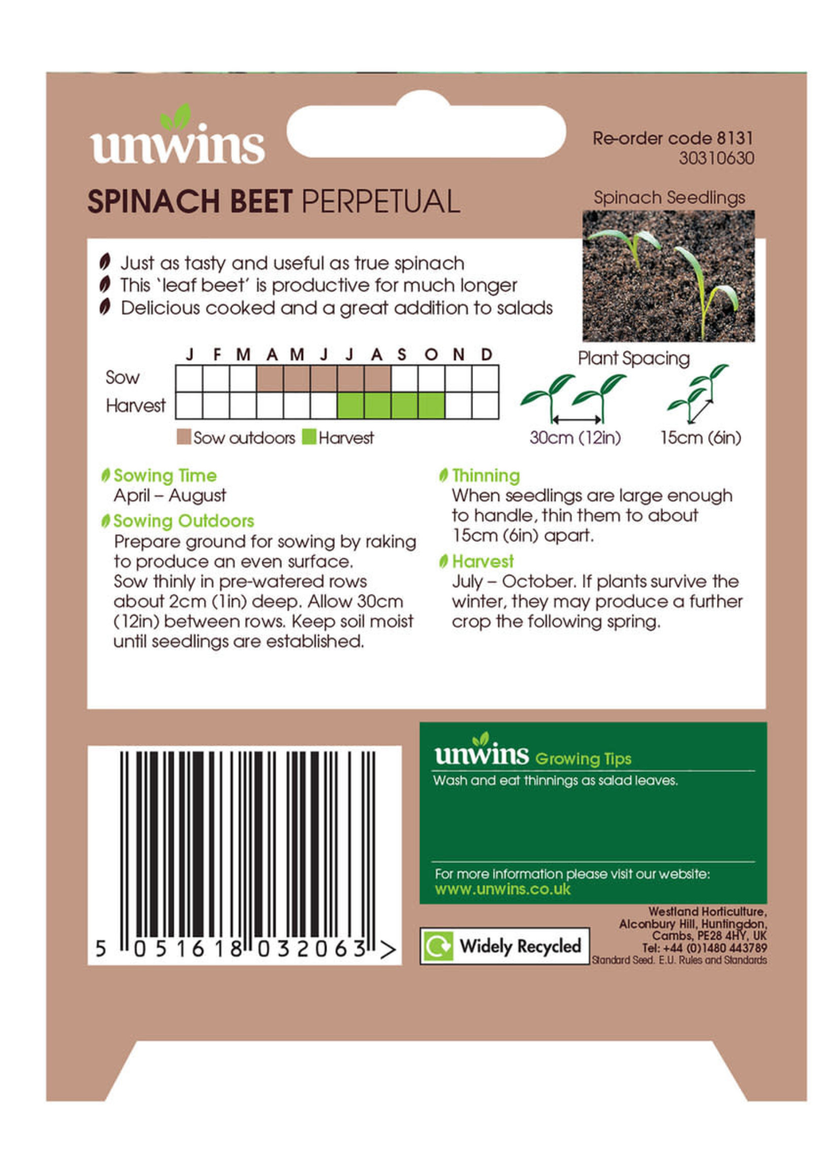 Unwins Spinach Beet - Perpetual