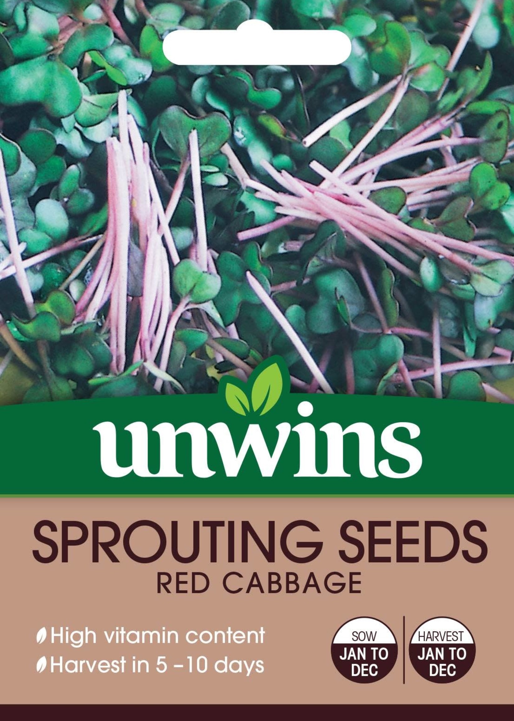 Unwins Sprouting Seeds Red Cabbage