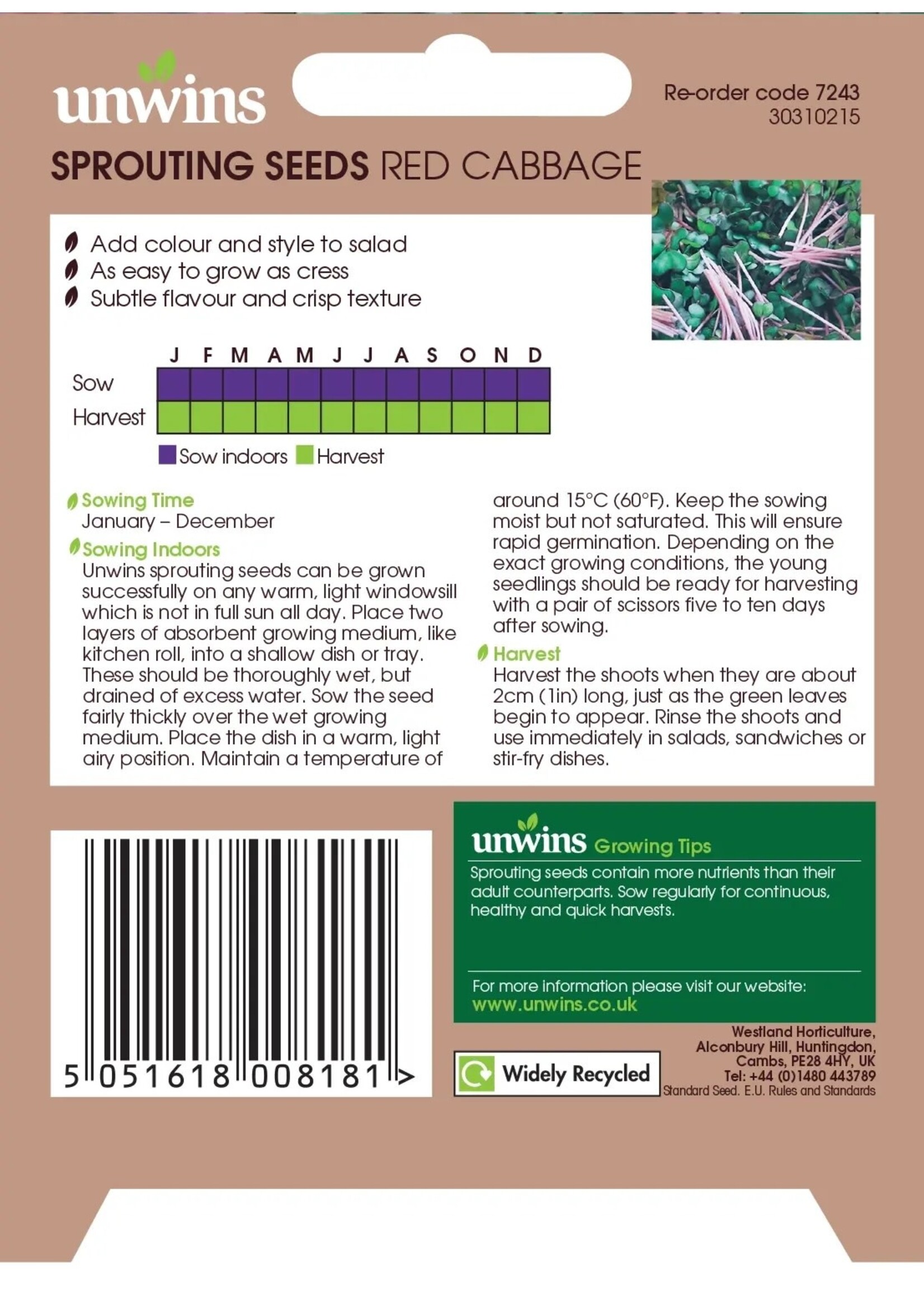 Unwins Sprouting Seeds Red Cabbage