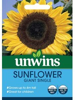 Unwins Sunflower - Giant Single