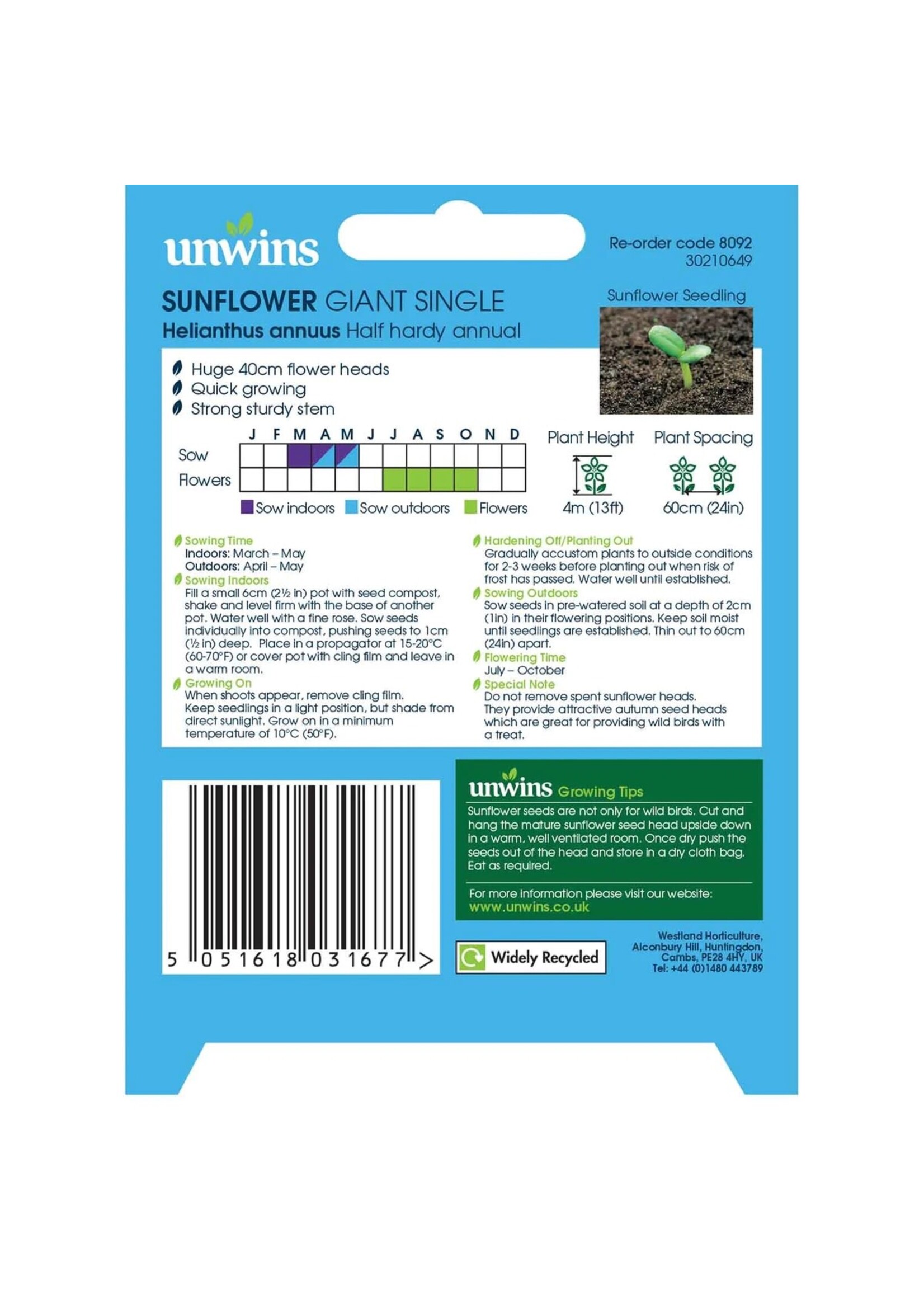 Unwins Sunflower - Giant Single