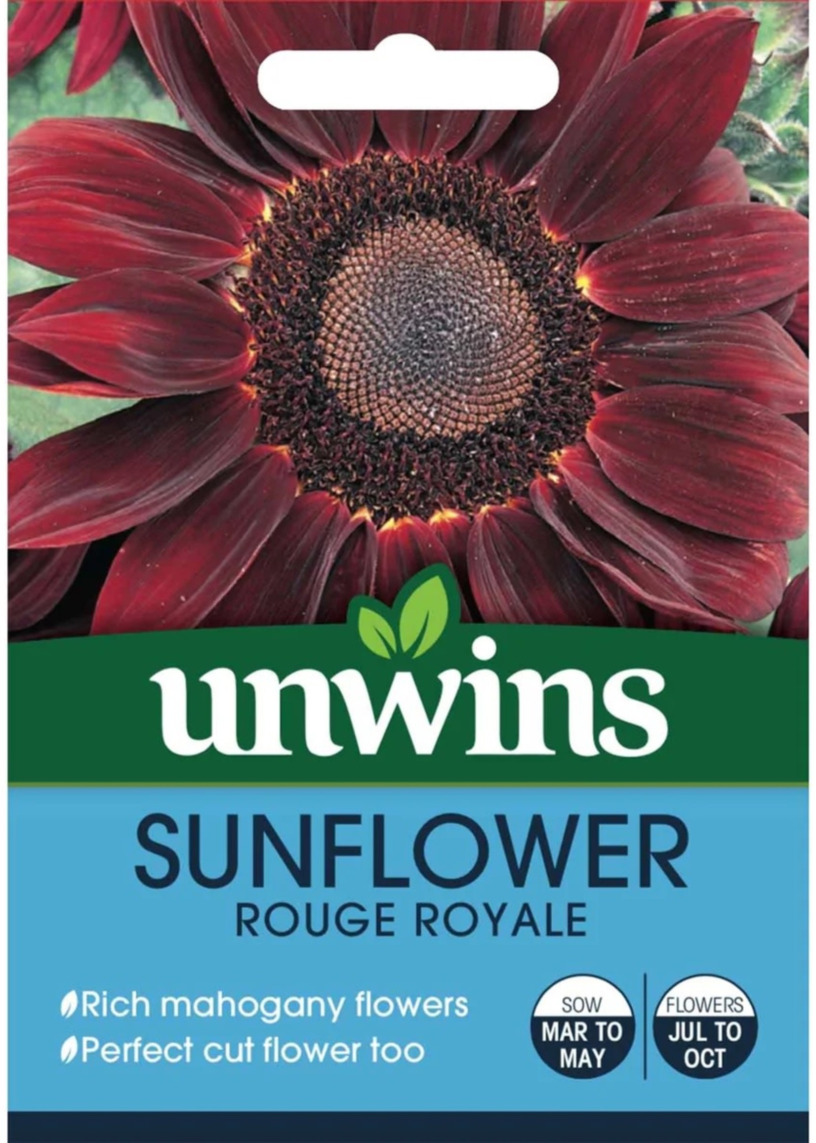 Unwins Sunflower - Rouge Royale