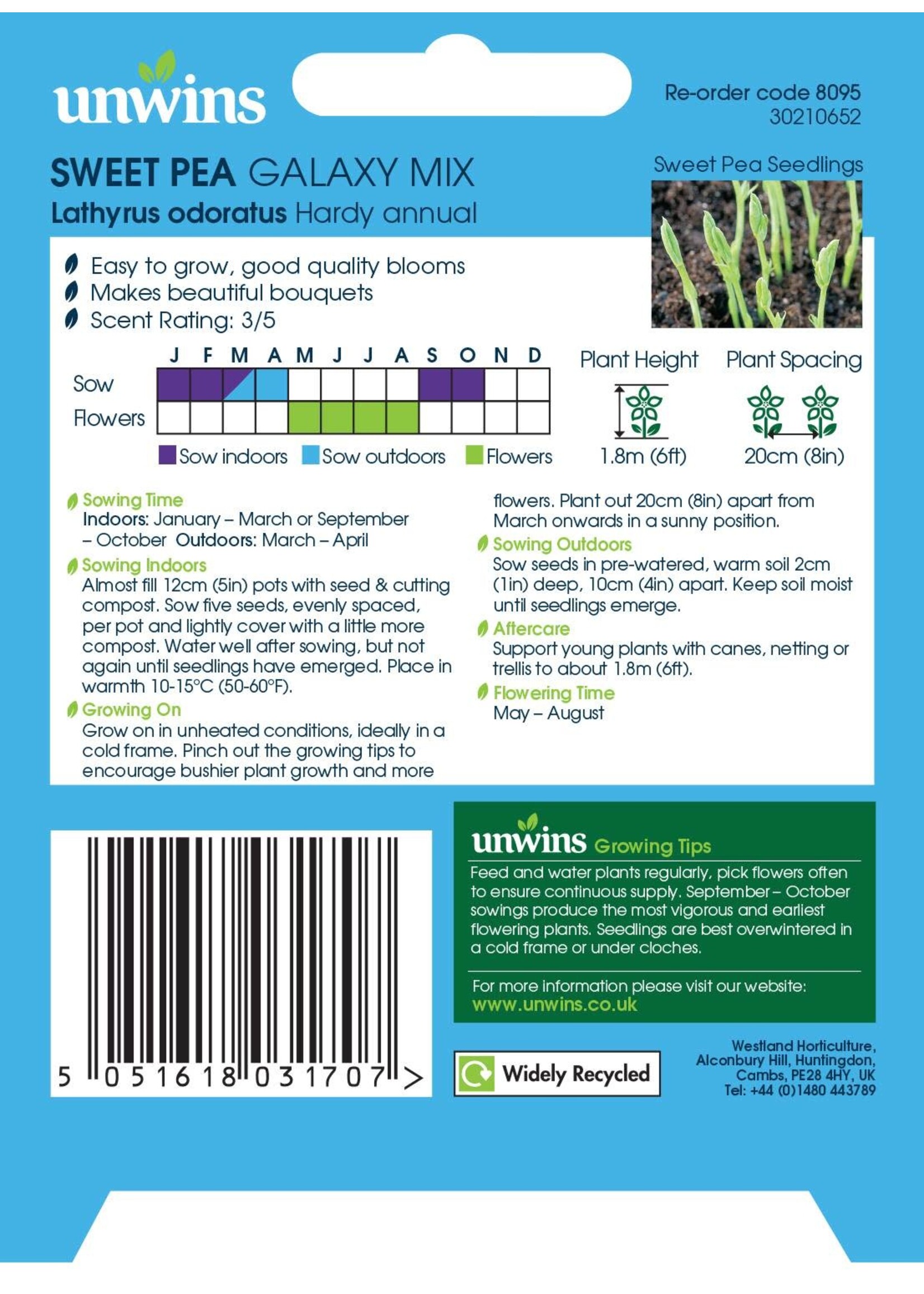 Unwins Sweet Pea - Galaxy Mixed
