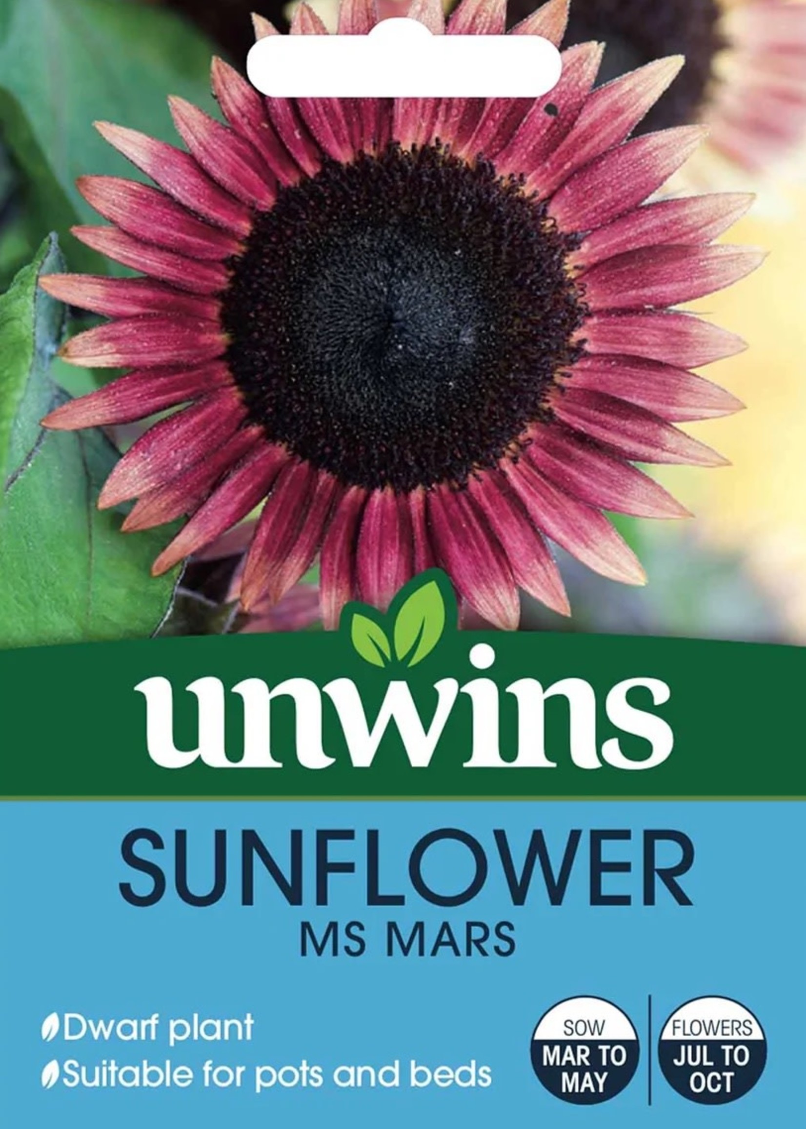 Unwins Sunflower - Ms Mars