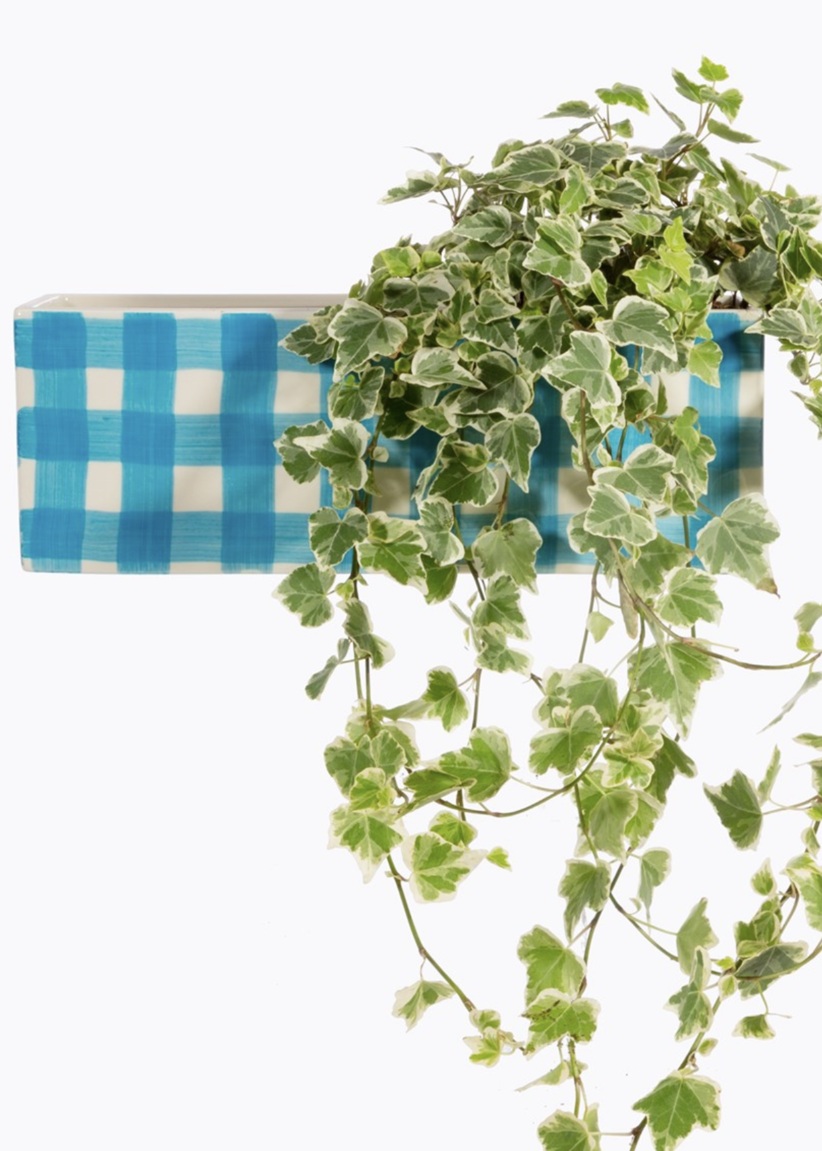 Sass & Belle Gingham Trough Planter Blue