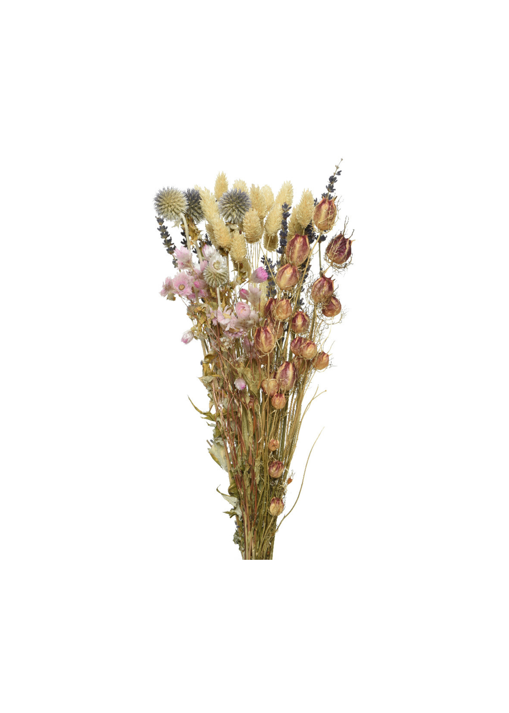 Decoris Dried Flower Bouquet