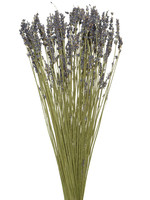 Decoris Dried Lavender Flower Bouquet