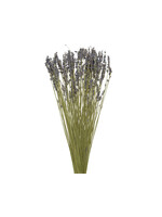 Decoris Dried Lavender Flower Bouquet