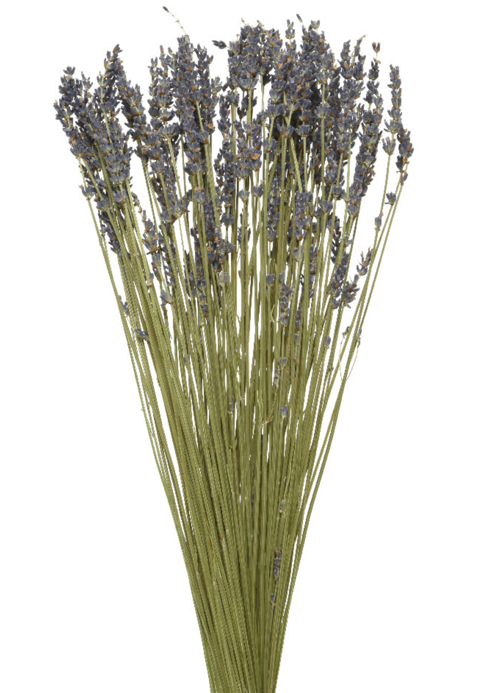 Decoris Dried Lavender Flower Bouquet