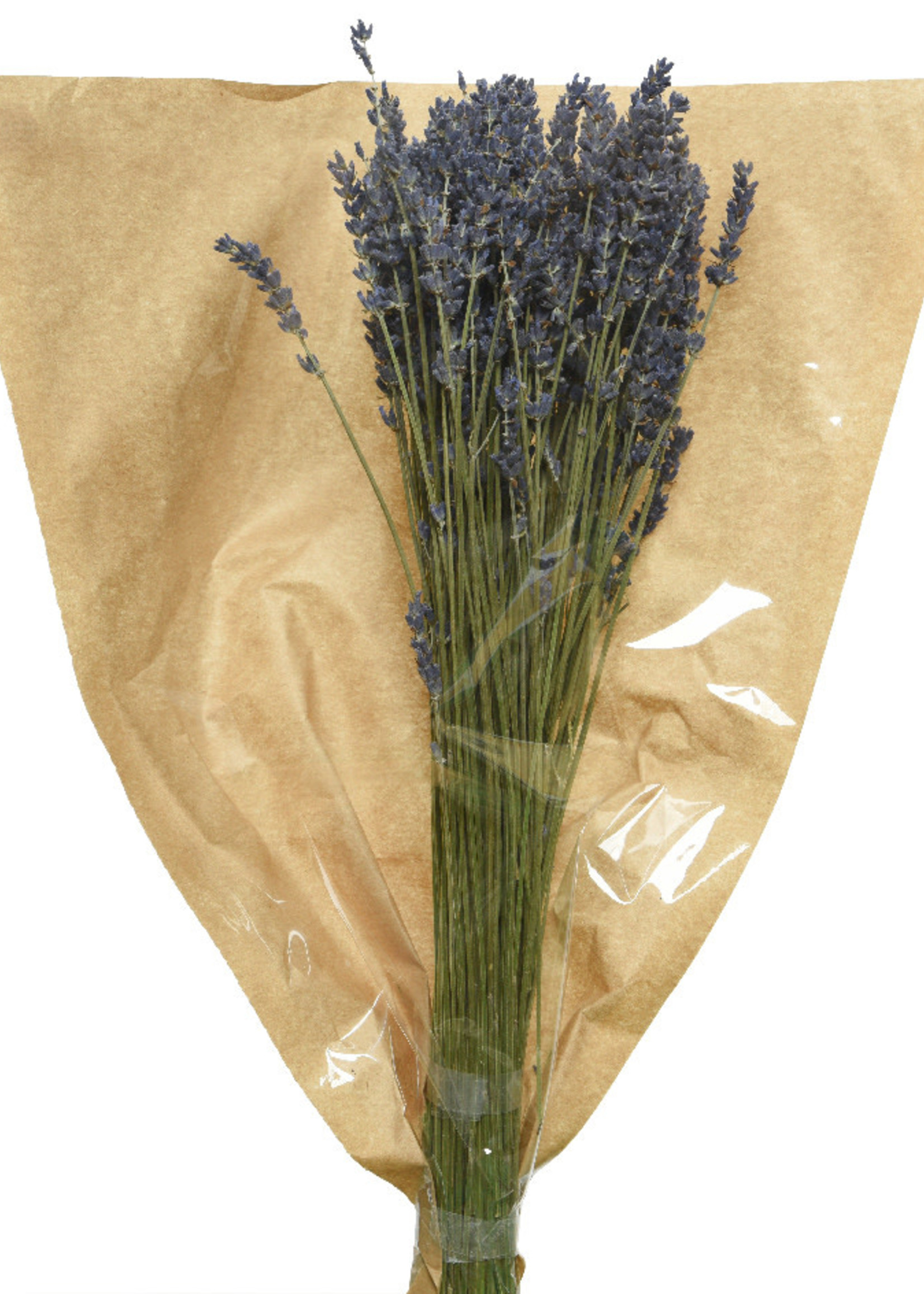 Decoris Dried Lavender Flower Bouquet