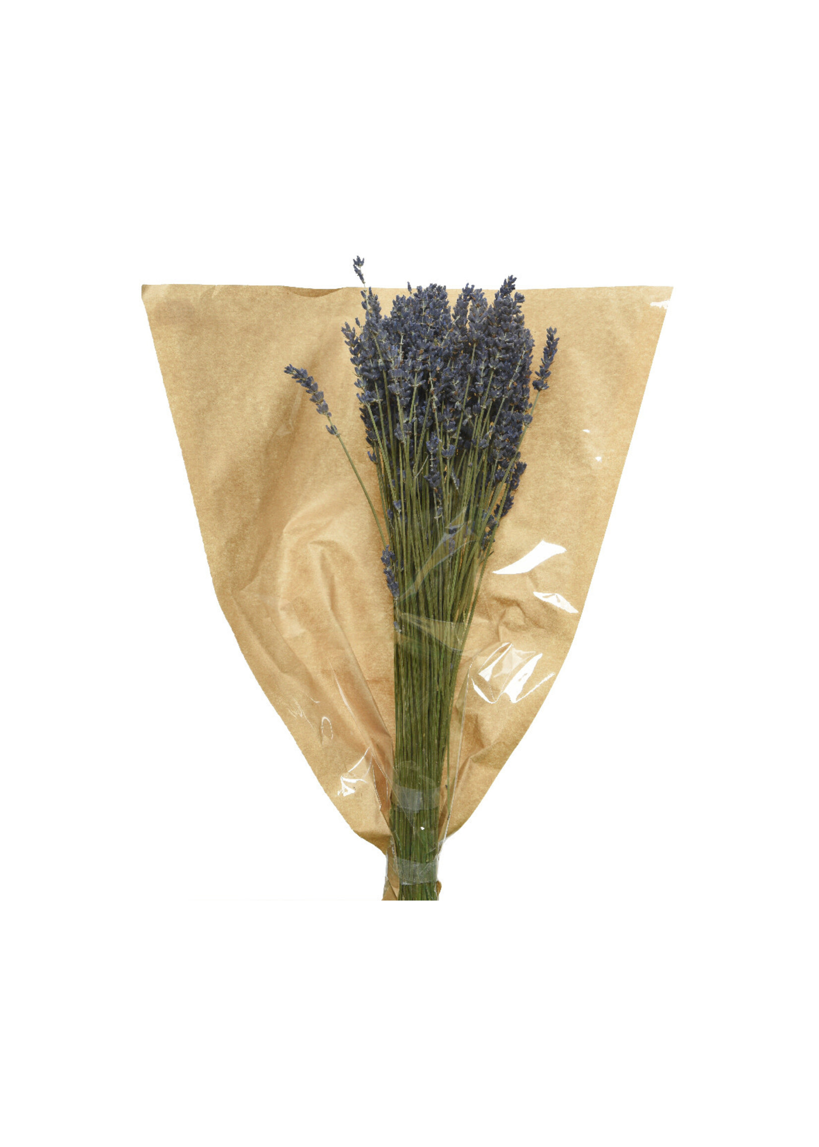 Decoris Dried Lavender Flower Bouquet