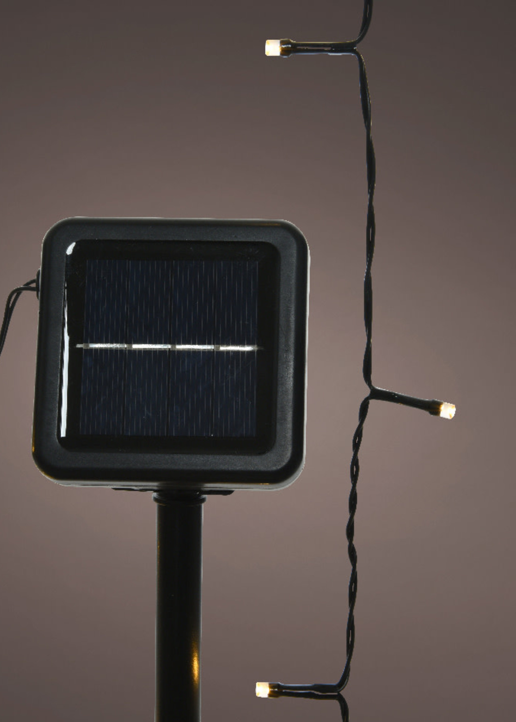 Lumiere Warm White Solar 100 LED string lights