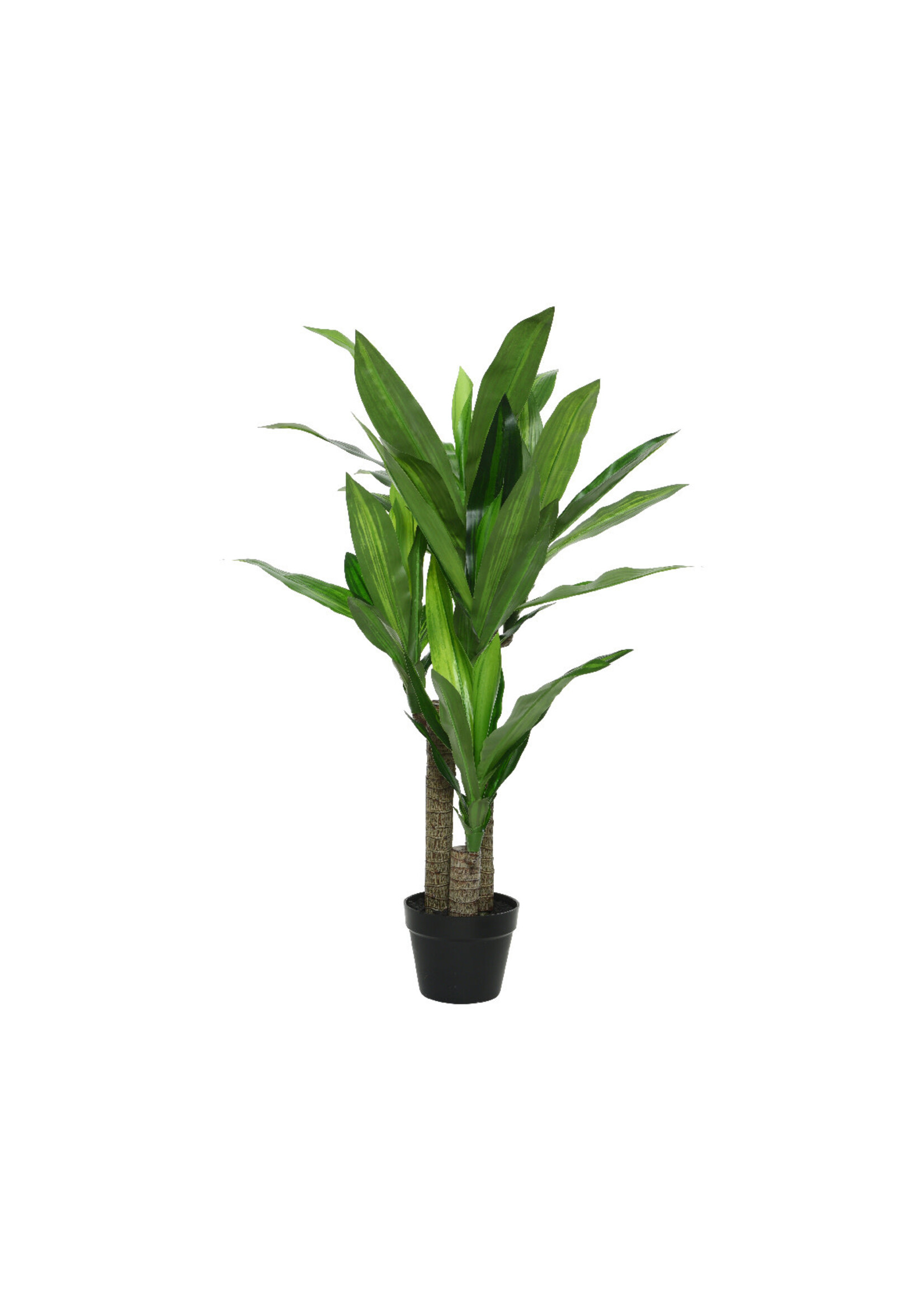 Everlands Artificial Dracaena in a Plastic Pot 105 x 65cm