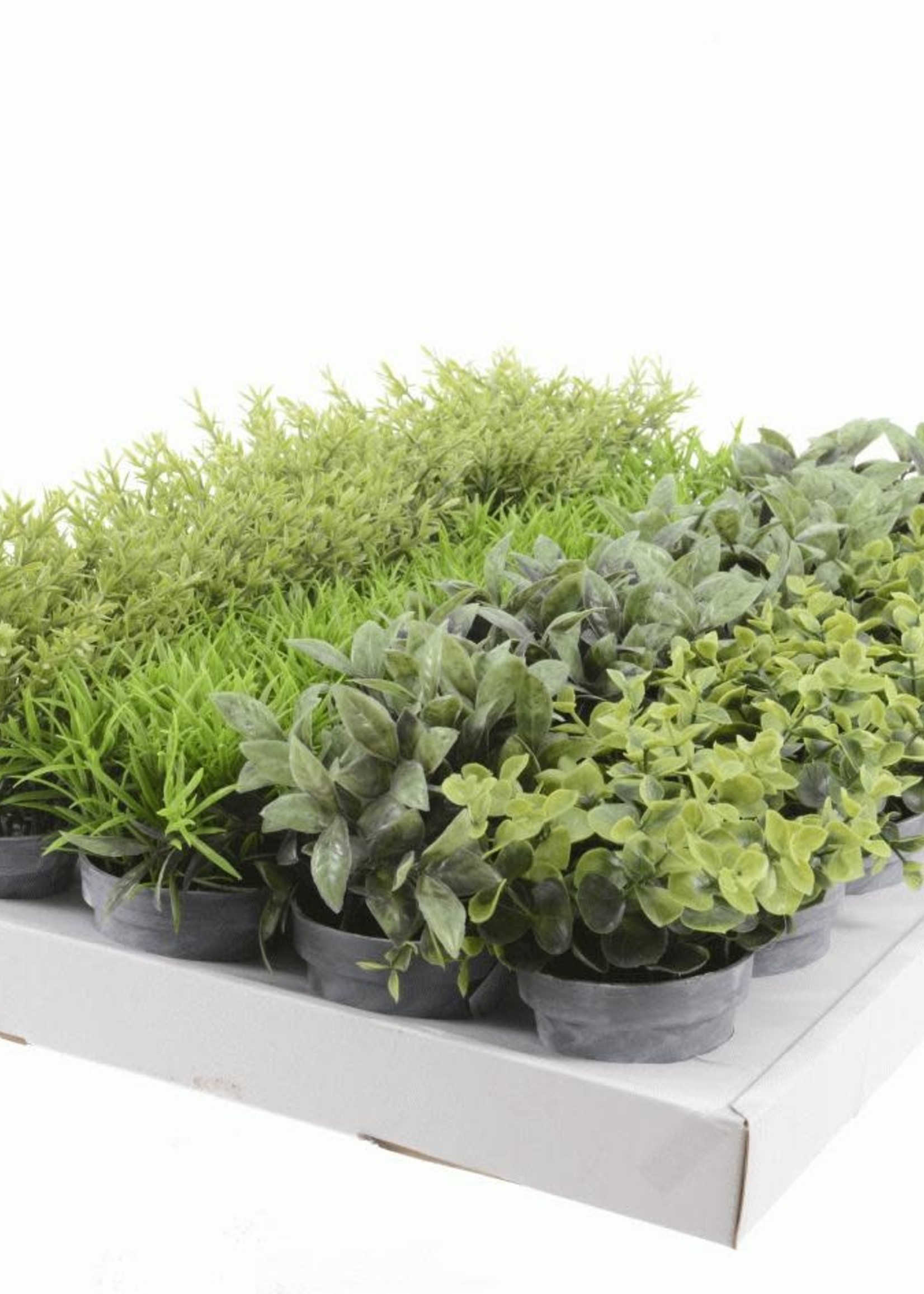 Everlands Mini Artificial Plant in a Grey Pot 13 x 10cm