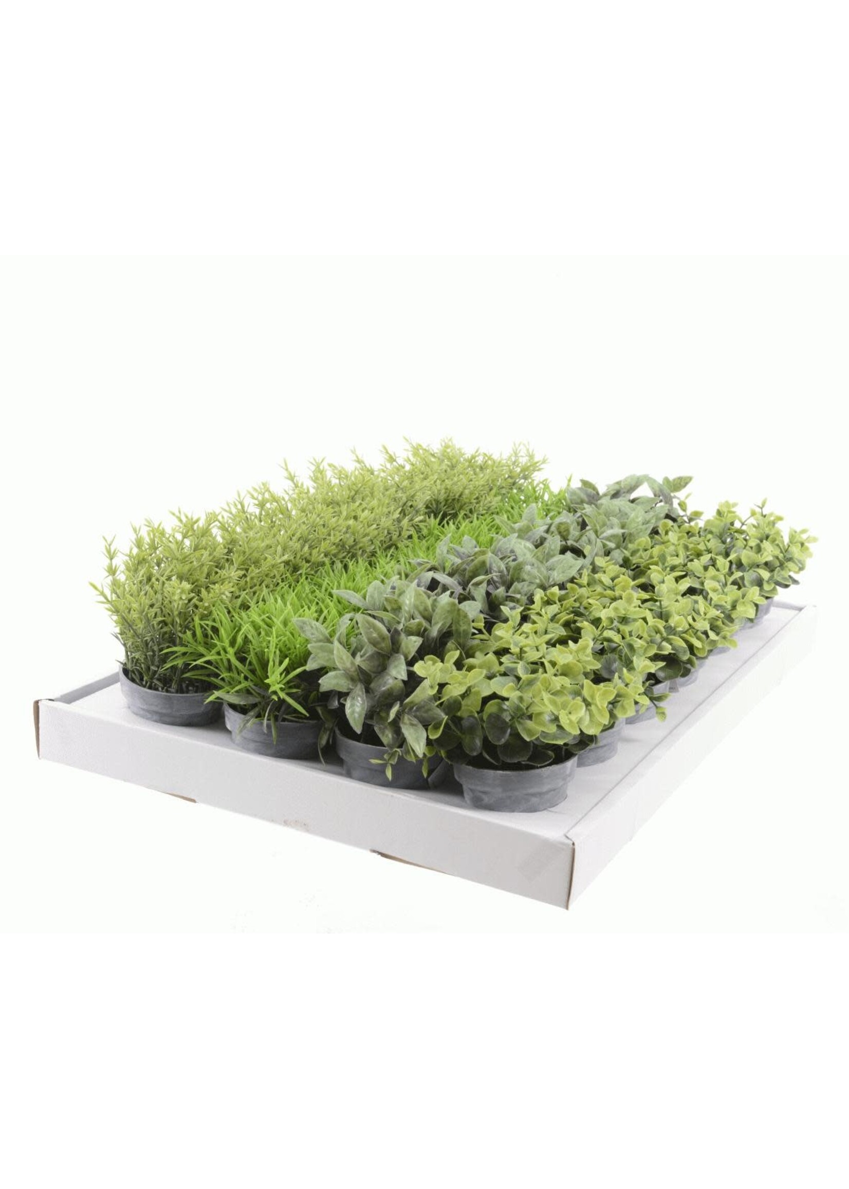 Everlands Mini Artificial Plant in a Grey Pot 13 x 10cm